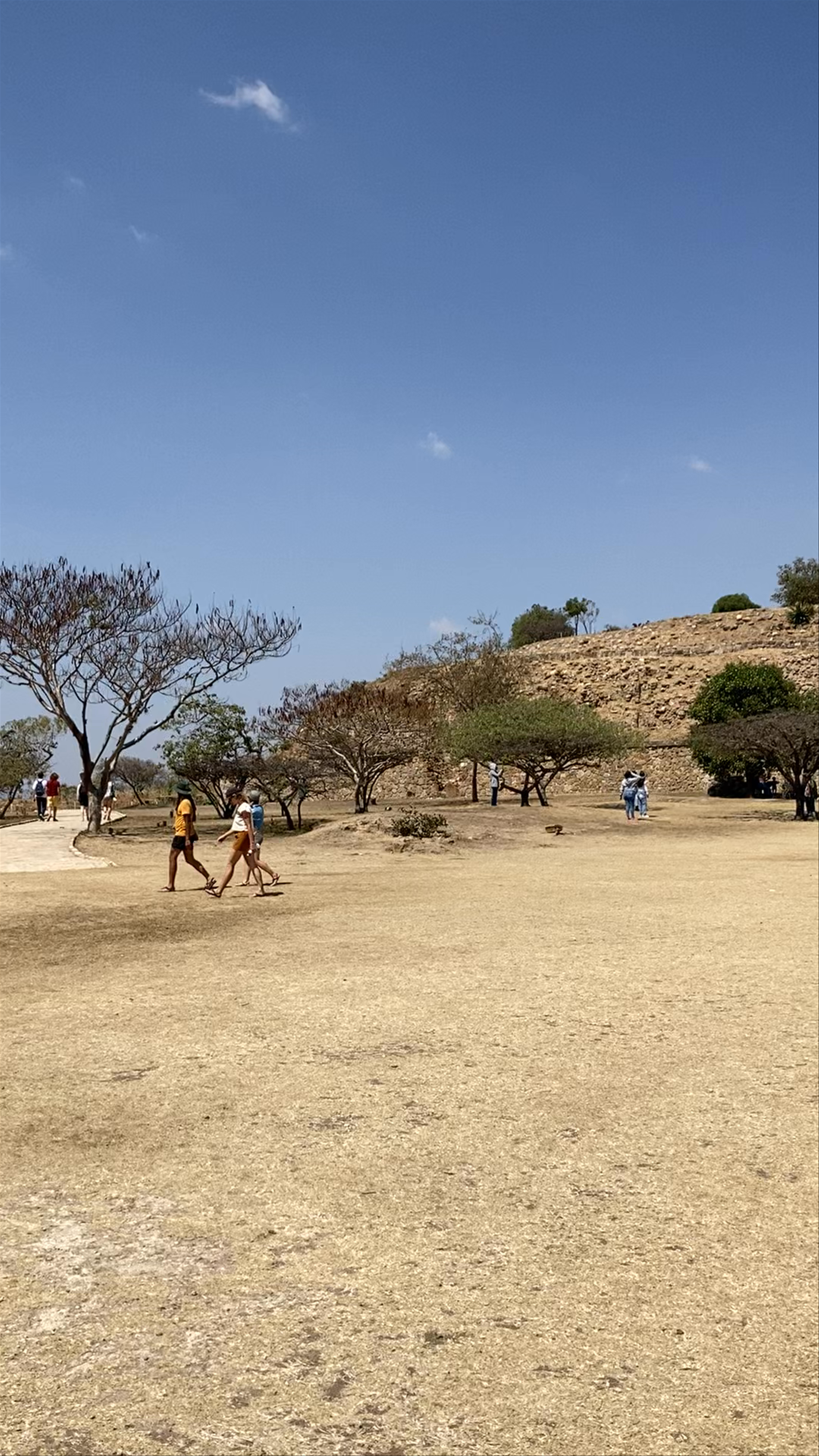 Monte Albán Archaeological Site