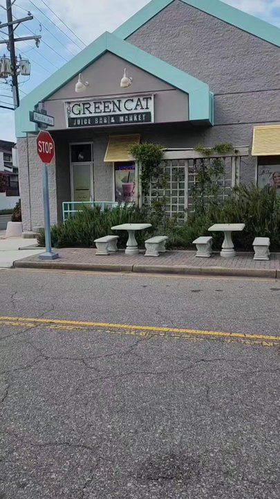 The Green Cat - Follow @LaVida_757 on instagram for more - Juice Bars & Smoothies Near Me - Virginia Beach, Virginia
