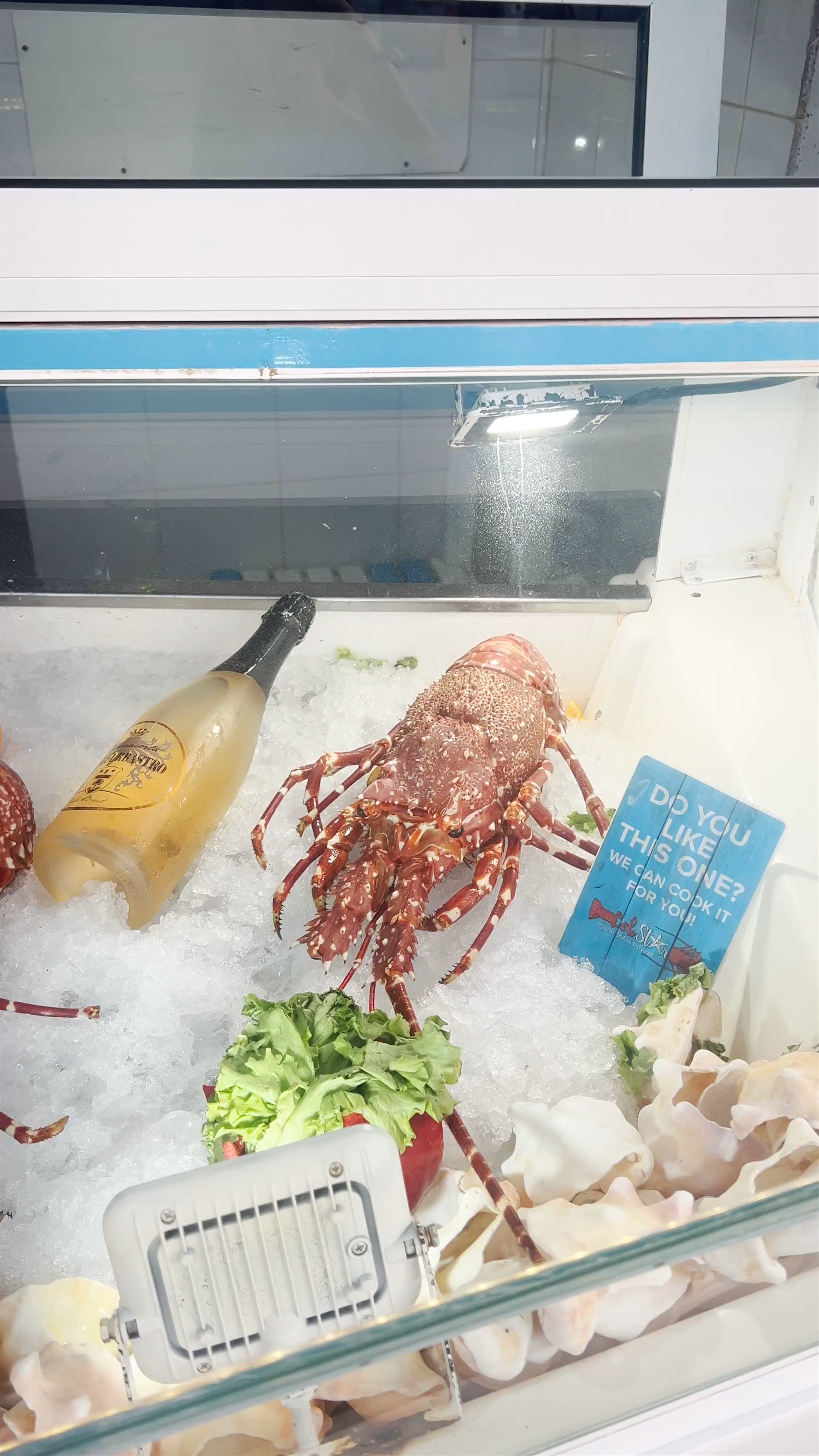 LobStar: Enjoyable Fresh Seafood in Santa Maria, Sal, Cabo Verde