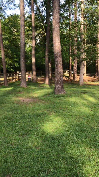 Loch Haven Dog Park - Dog Parks Near Me - Hoover, Alabama
