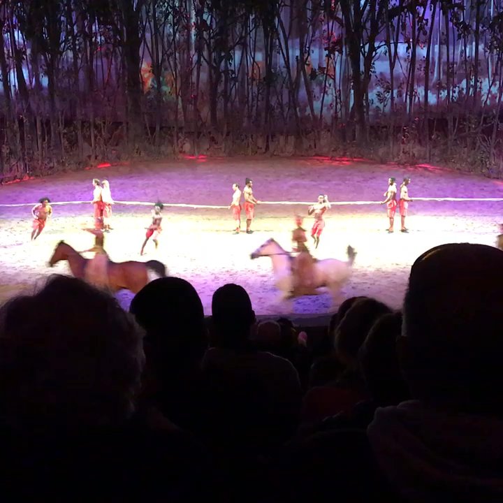 Odysseo By Cavalia - Festivals Near Me - Chicago, Illinois