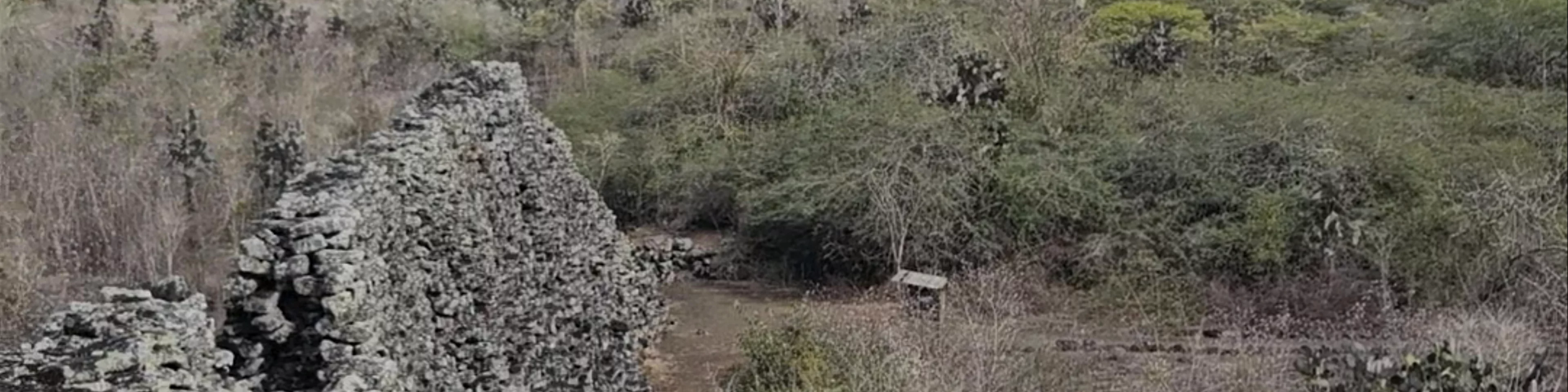 Muro de las Lágrimas