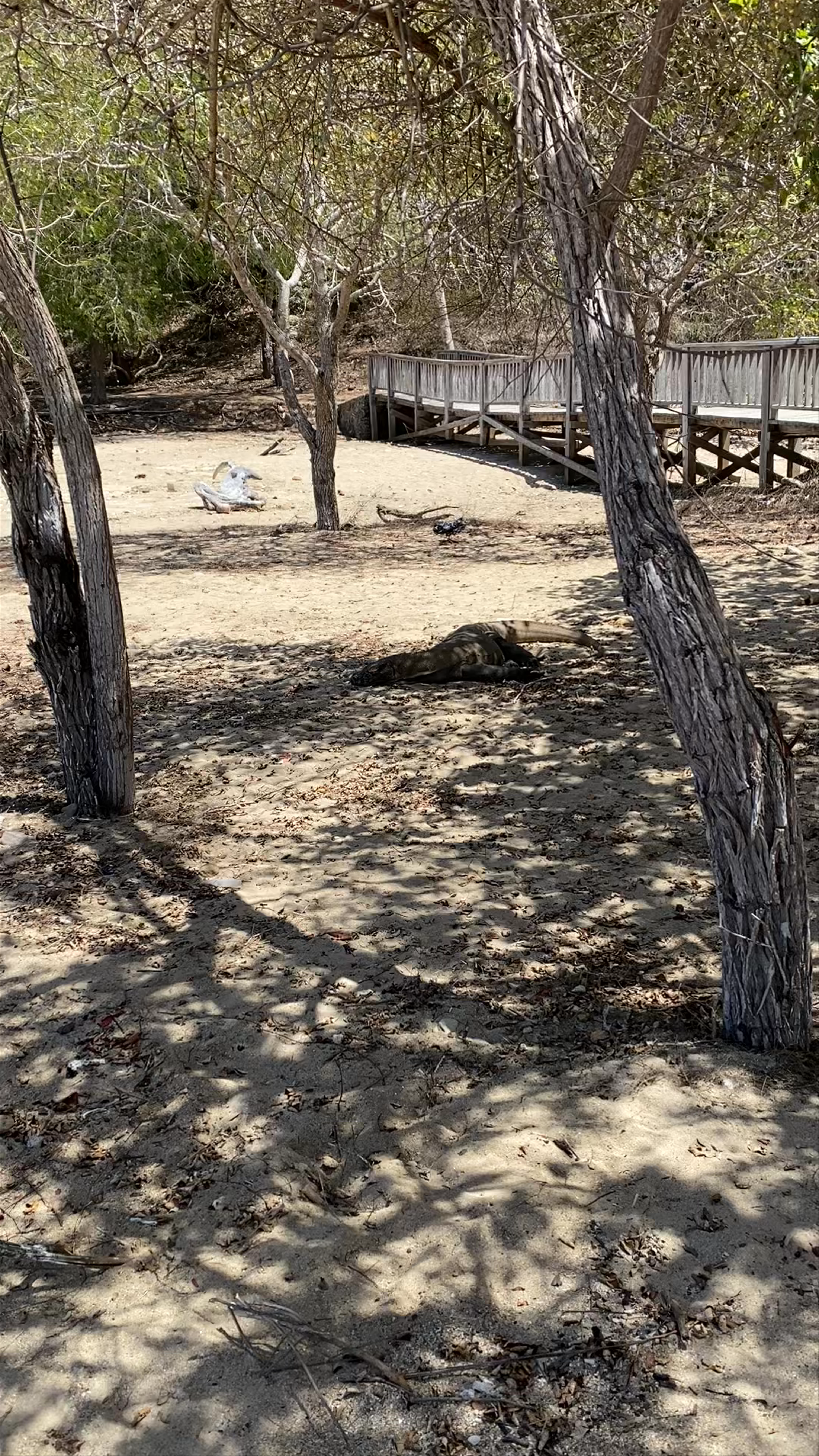 Komodo National Park