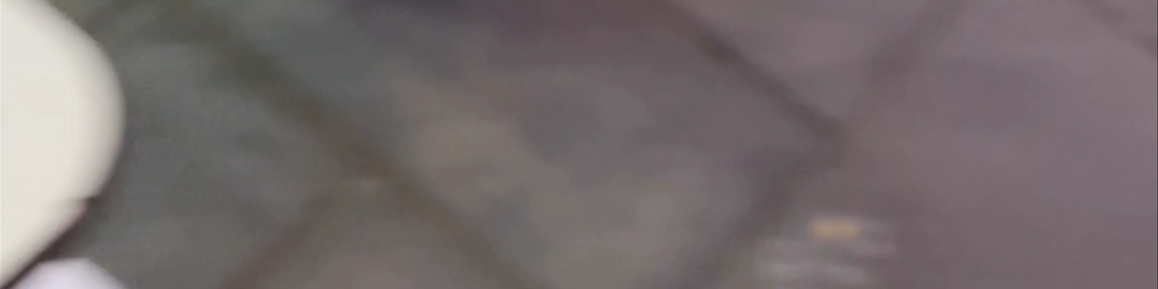 Madre de Dios Teatinos