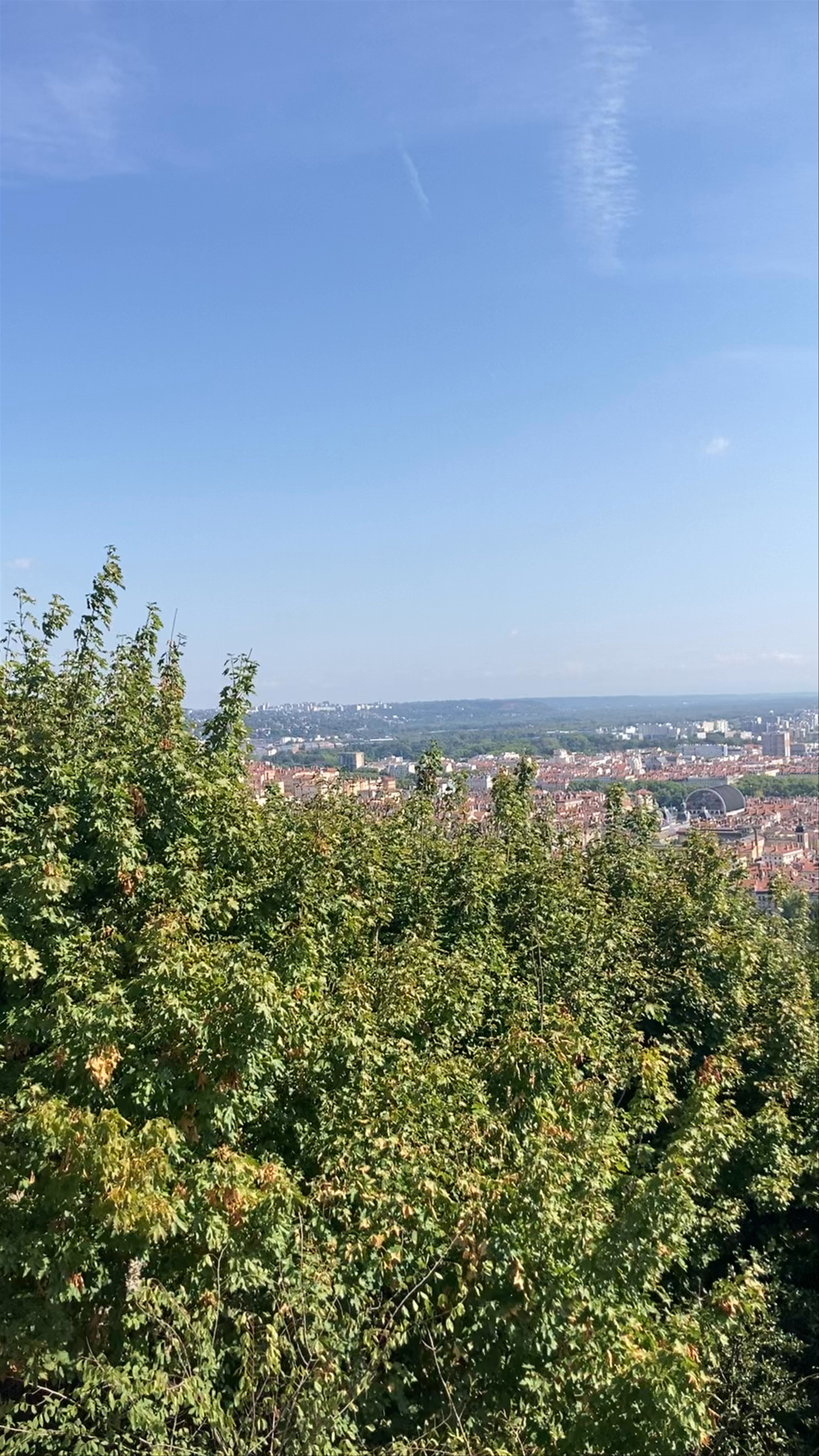Breathtaking Panoramic Views from Notre-Dame de Fourvière, Lyon