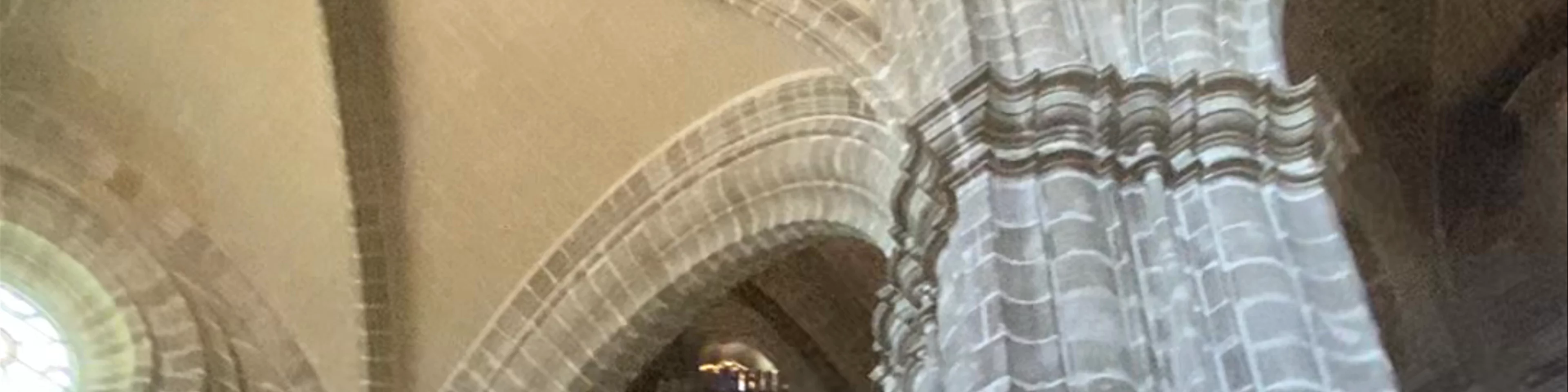 Cathedral of Jerez de la Frontera / Colegiata de Nuestro Señor San Salvador