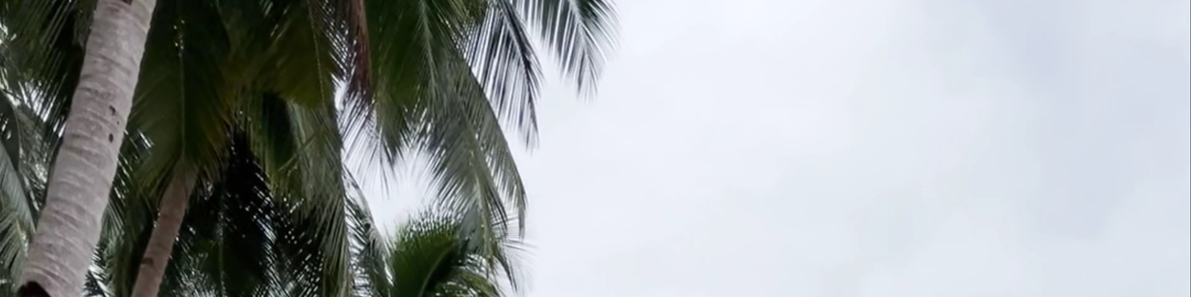 Coconut Beach