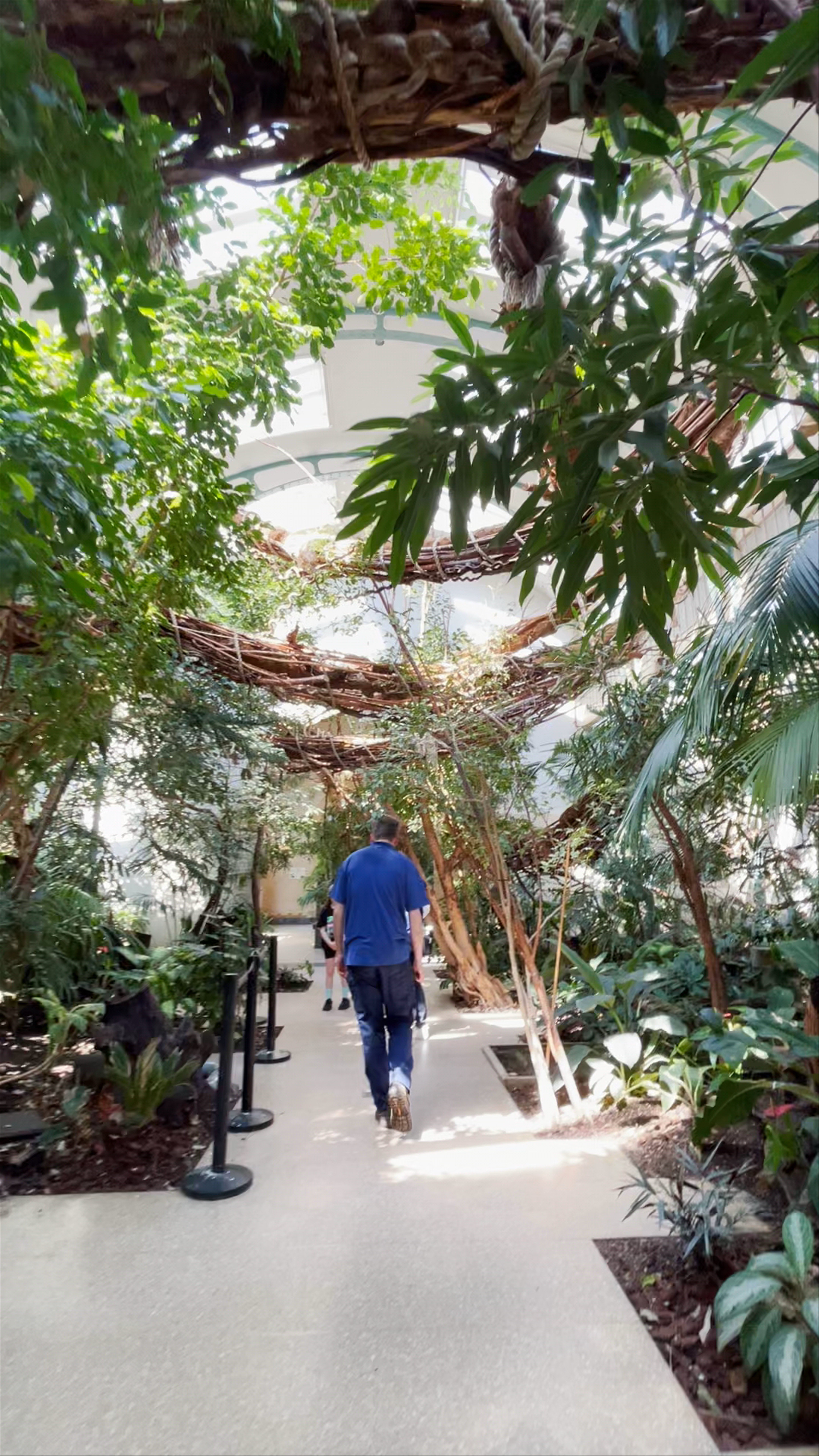 Artis Zoo