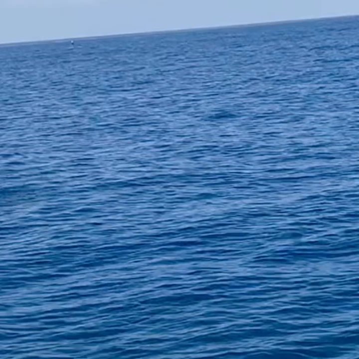 Moana Ocean Adventures - Historical Tours Near Me - Captain Cook, Hawaii