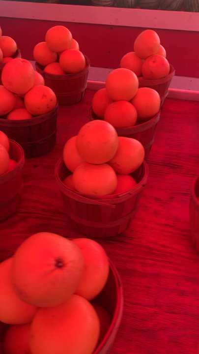 Fleming Shortcut Fruit Stand - Farmers Market Near Me - Fleming, Georgia