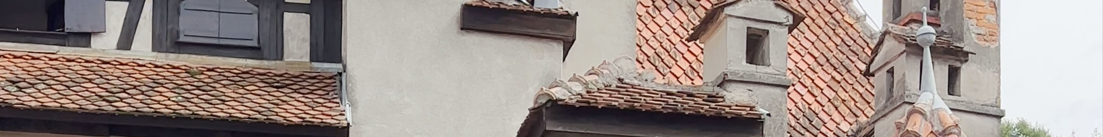 Tours & experiences in Braşov
