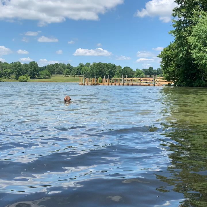 Core Creek Park - Venues & Event Spaces Near Me - Langhorne, Pennsylvania