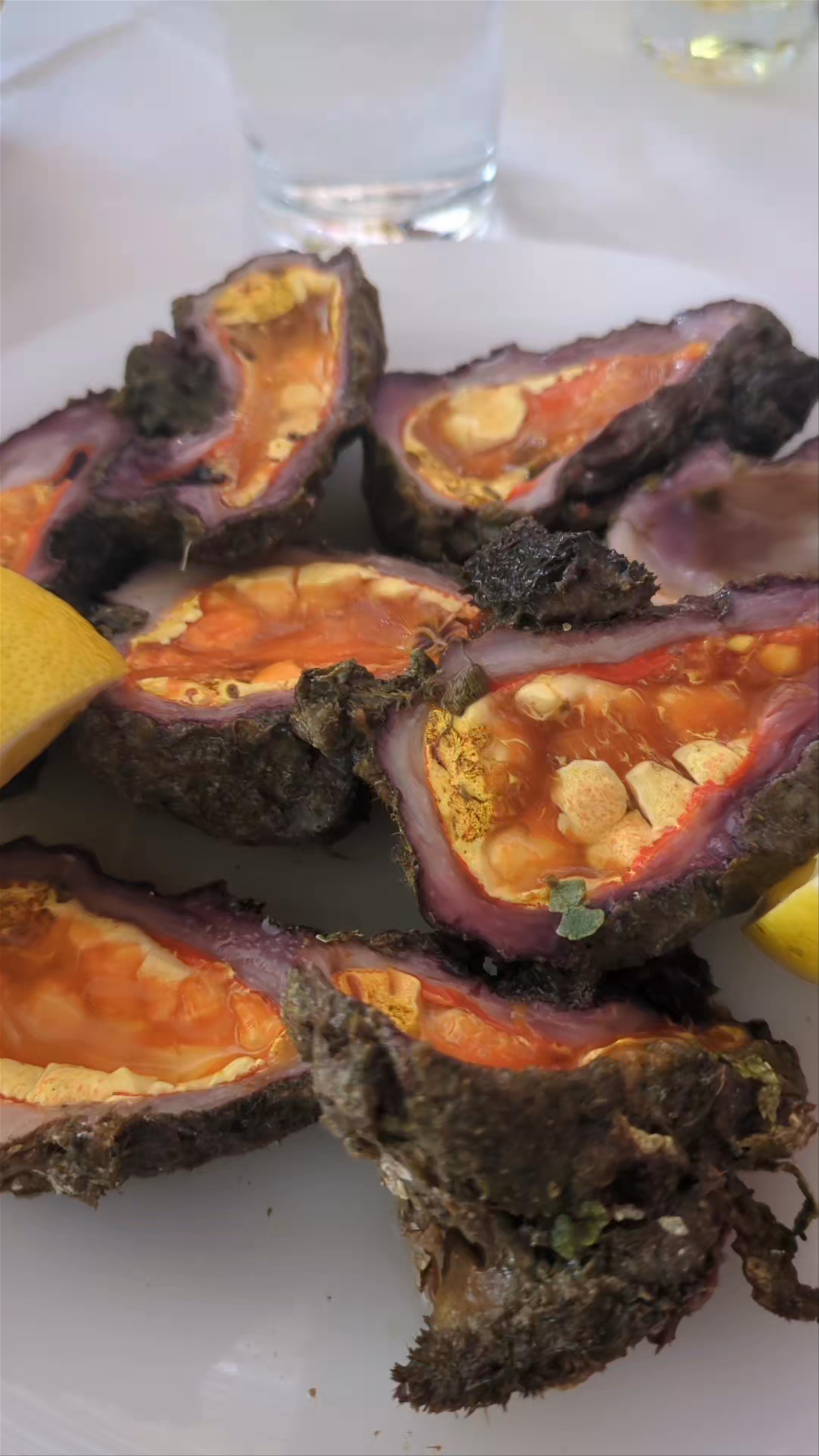 Η ΓΛΑΡΟΠΟΥΛΑ