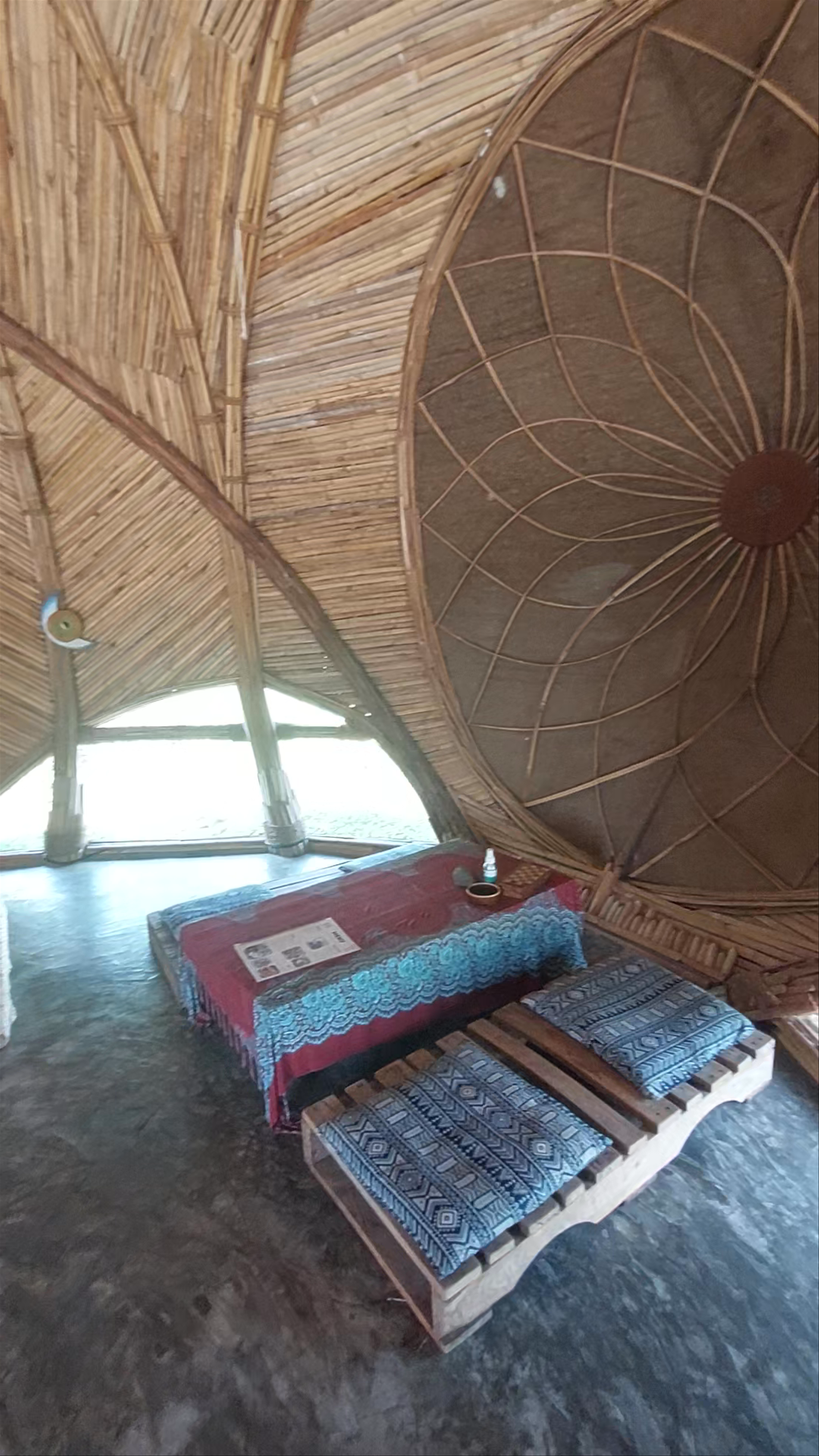 The Cocoon Sauna & Ice bath