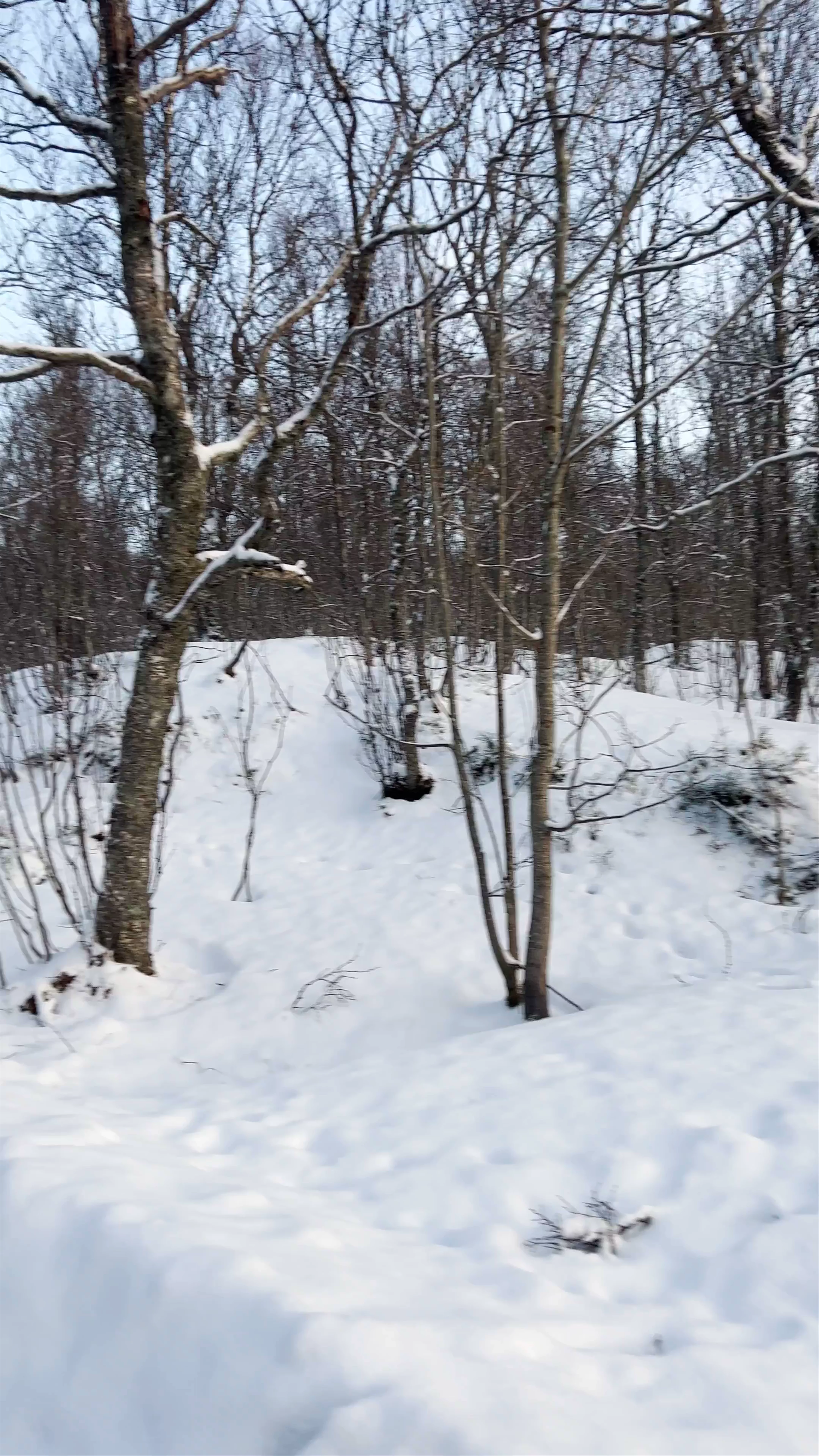Folkeparken, Lars Thørings veg, Tromsø