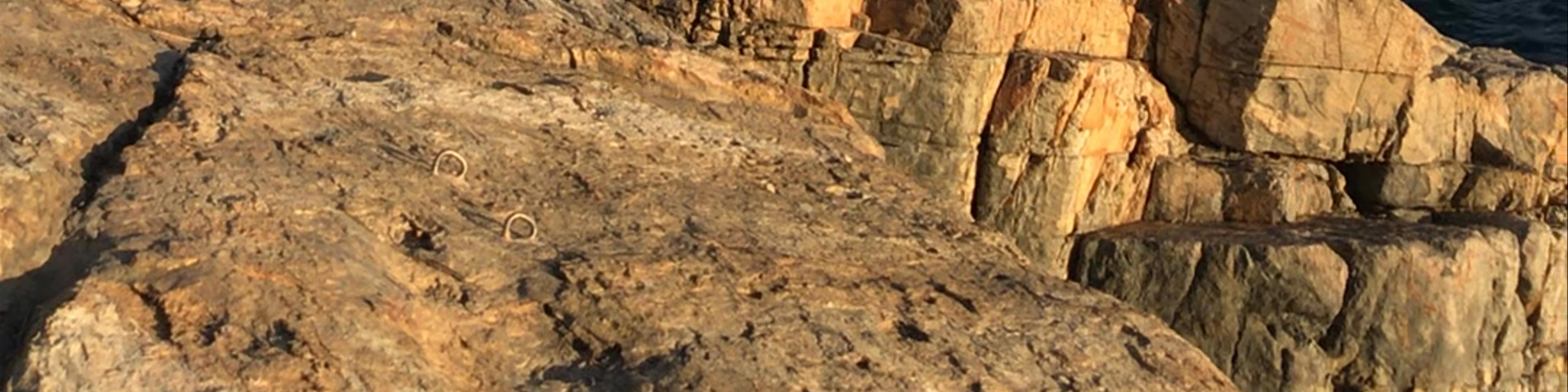 Ap Lei Pai