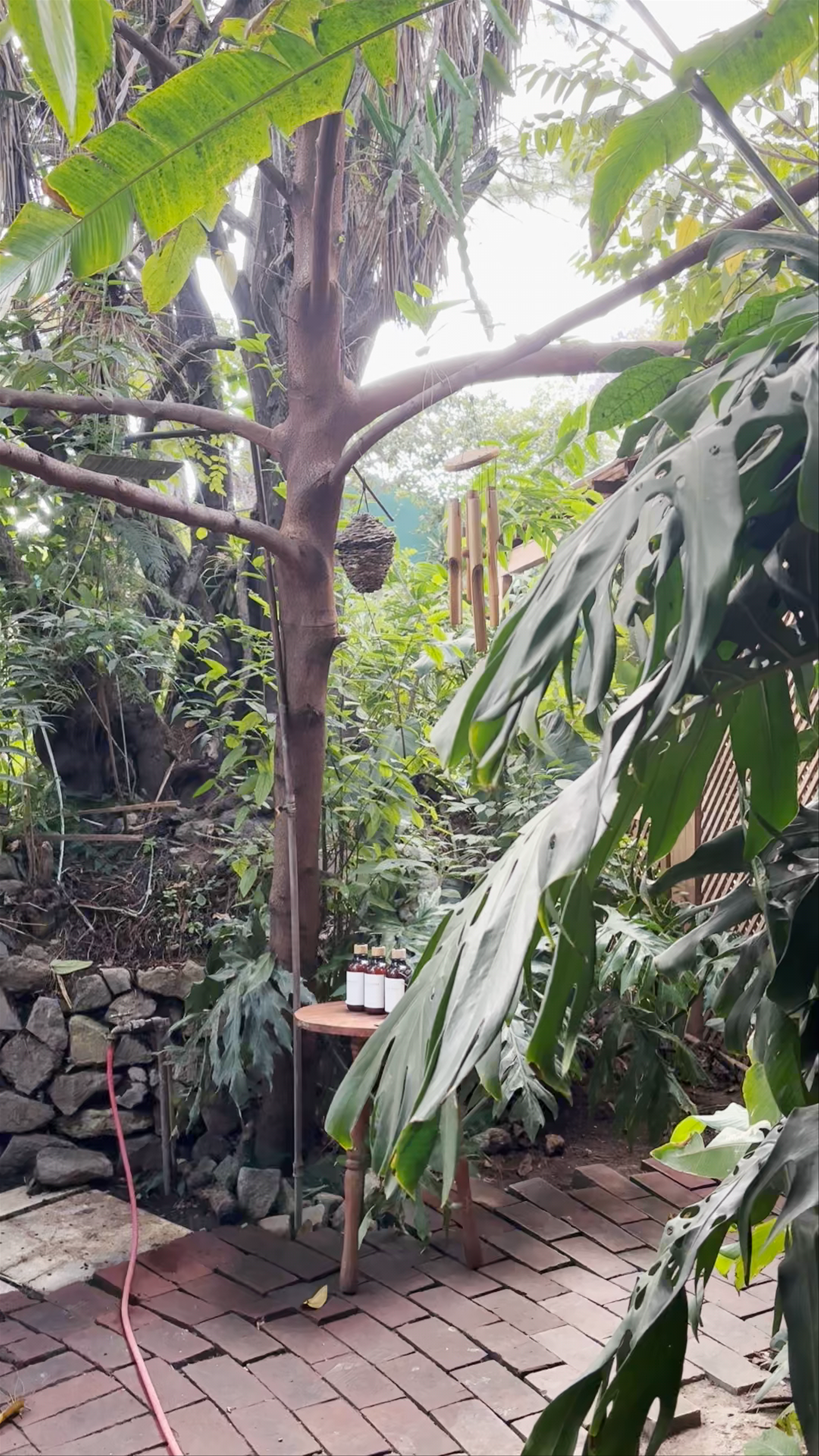 Casa Donya Boutique Hotel & Spa