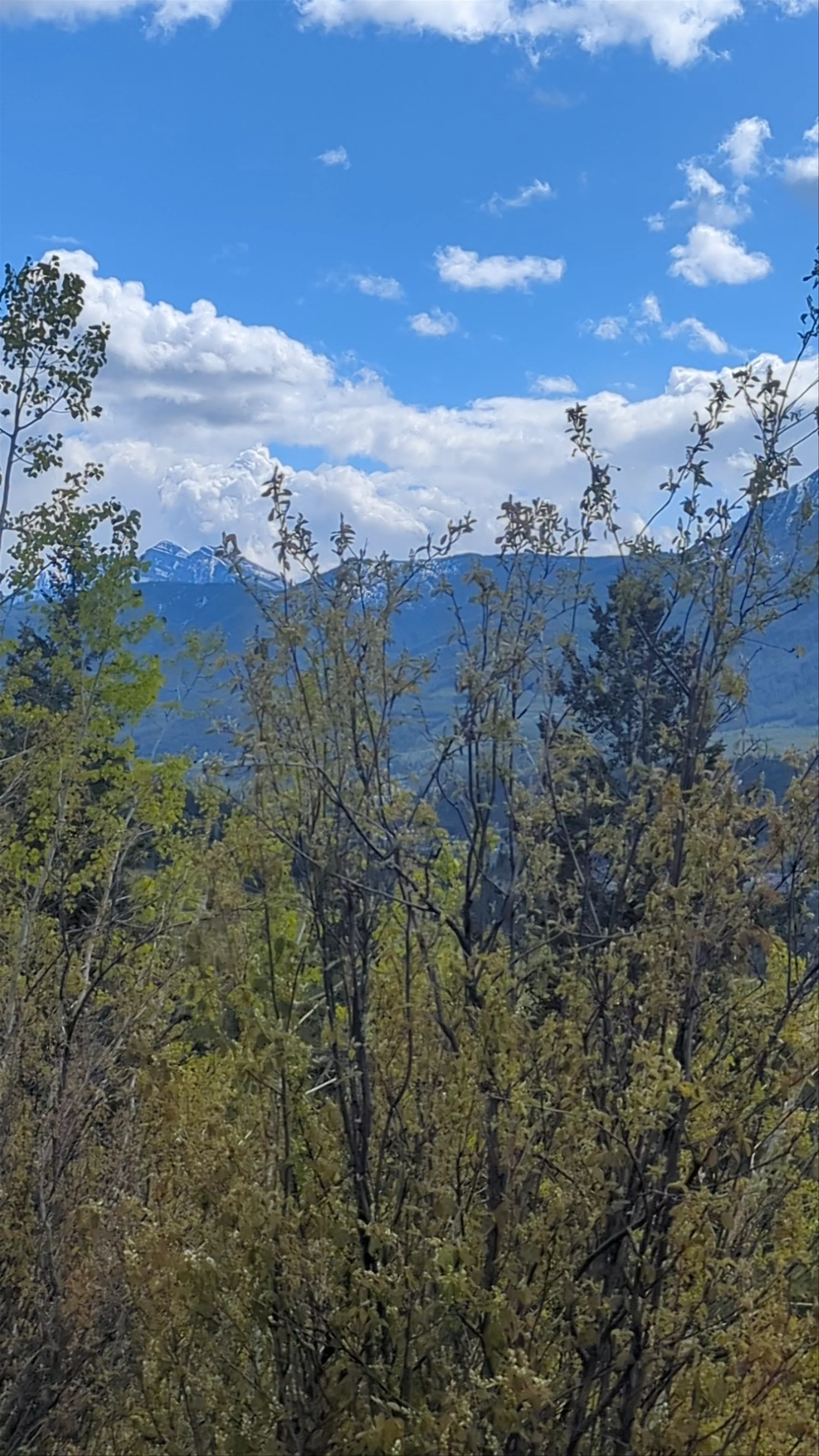 Elk Valley