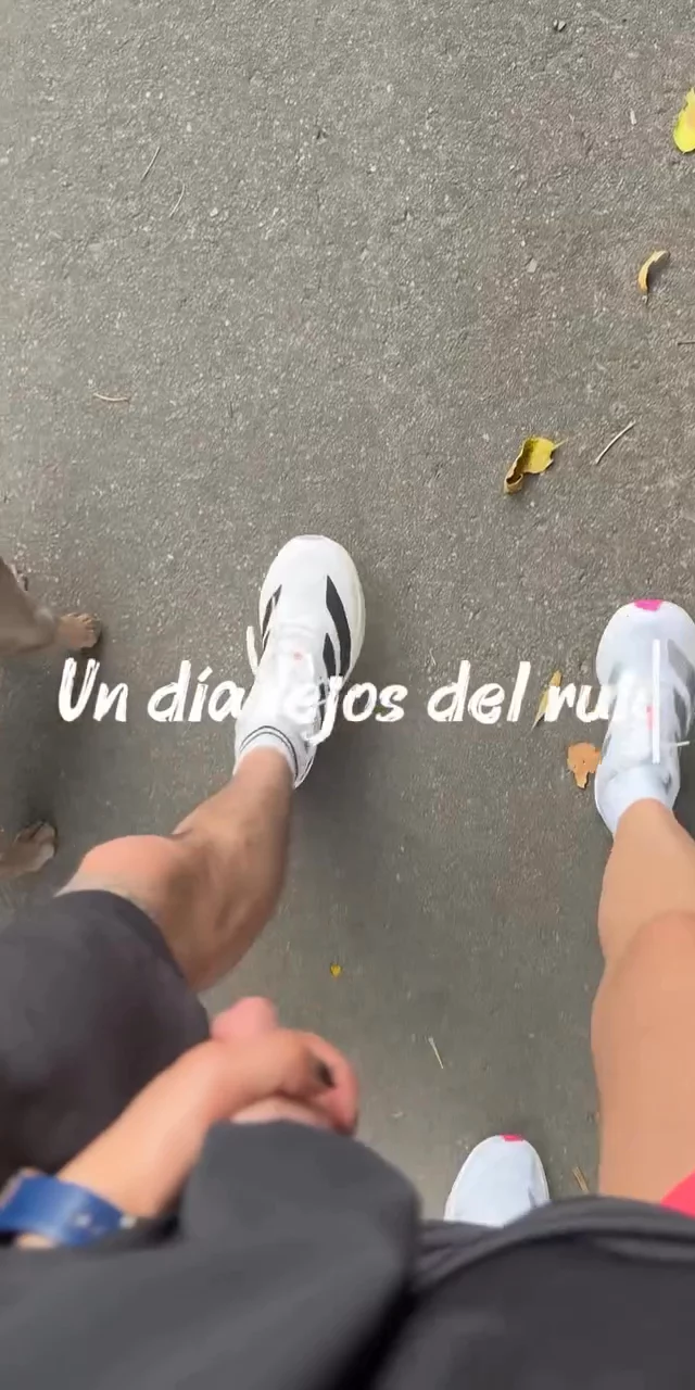Contenido del creador