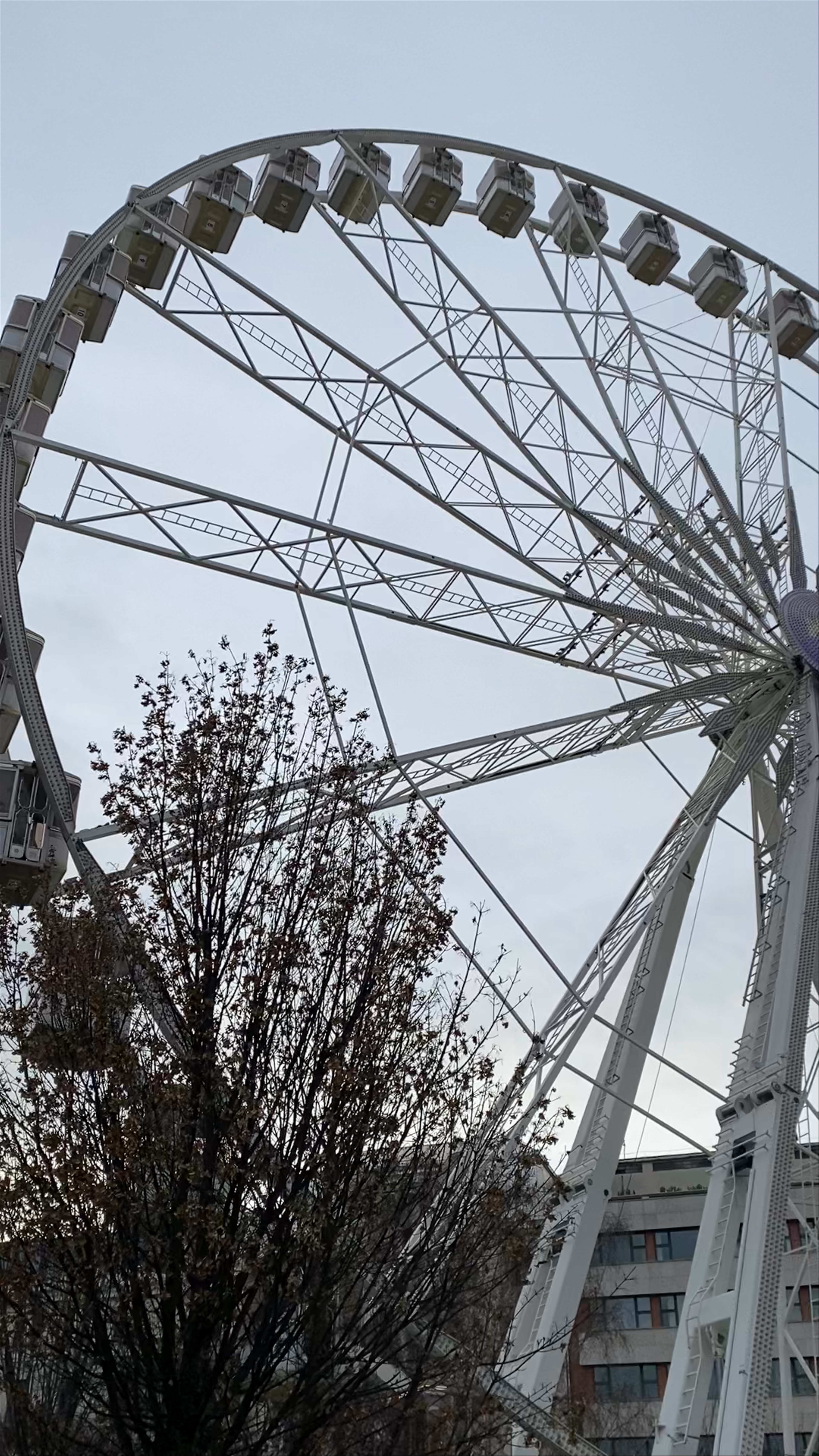 Ferris Wheel of Budapest at Erzsébet tér - Winter Cityscape Experience