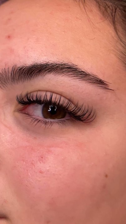 Lash Out Loud - Wispy lash, wet set - Eyelash Service Near Me - Lakewood, Colorado