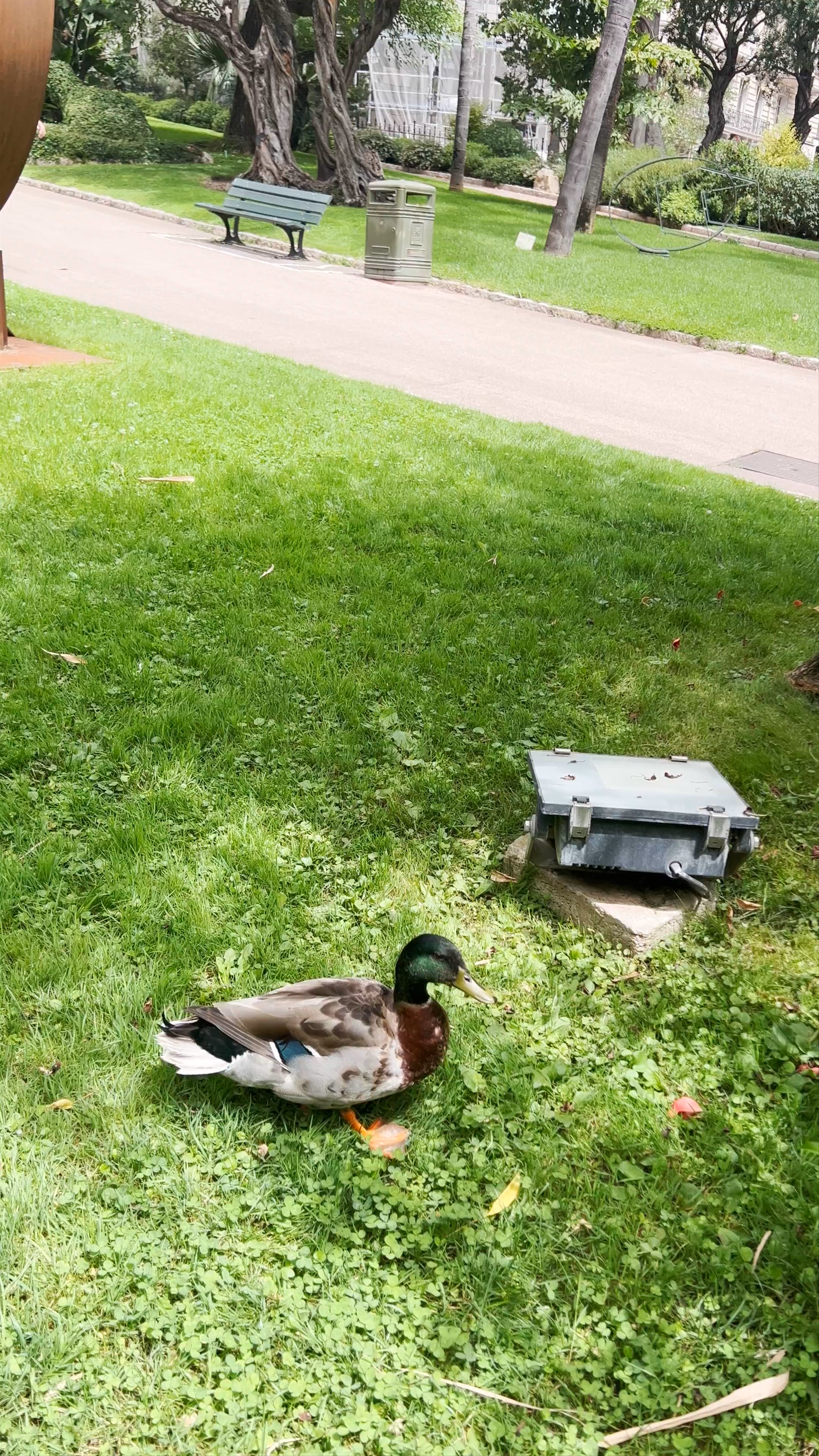 Jardins de la Petite Afrique