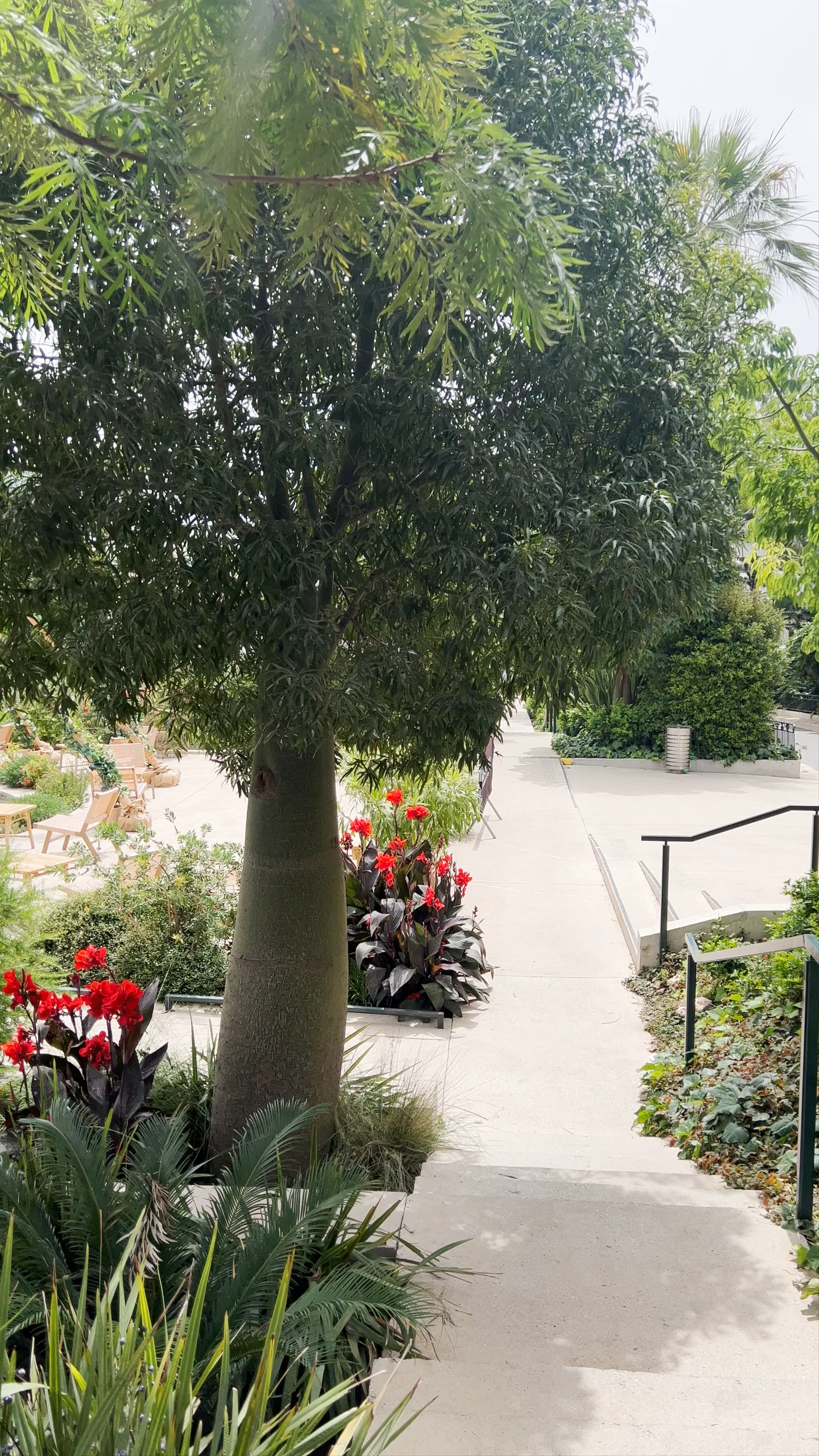 Jardins de la Petite Afrique, Avenue de la Madone, Monaco