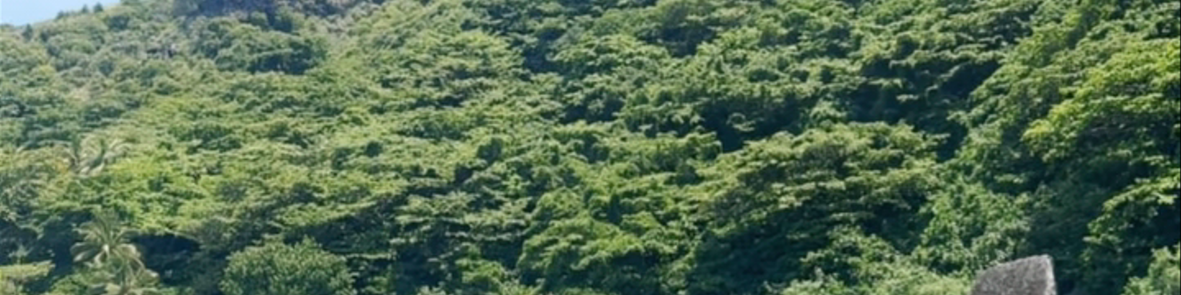 Fiji