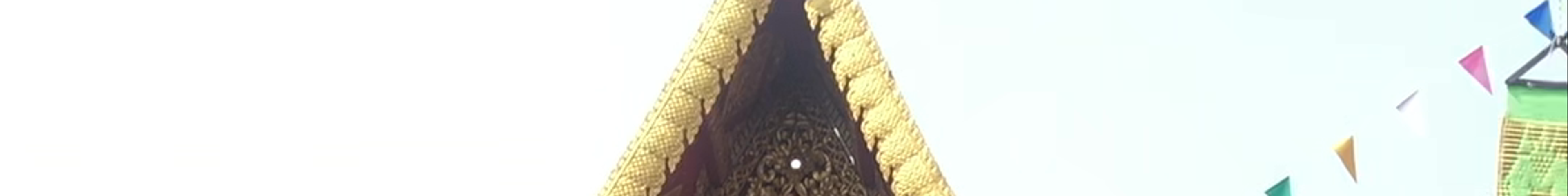 Tours & experiences in Chiang Mai