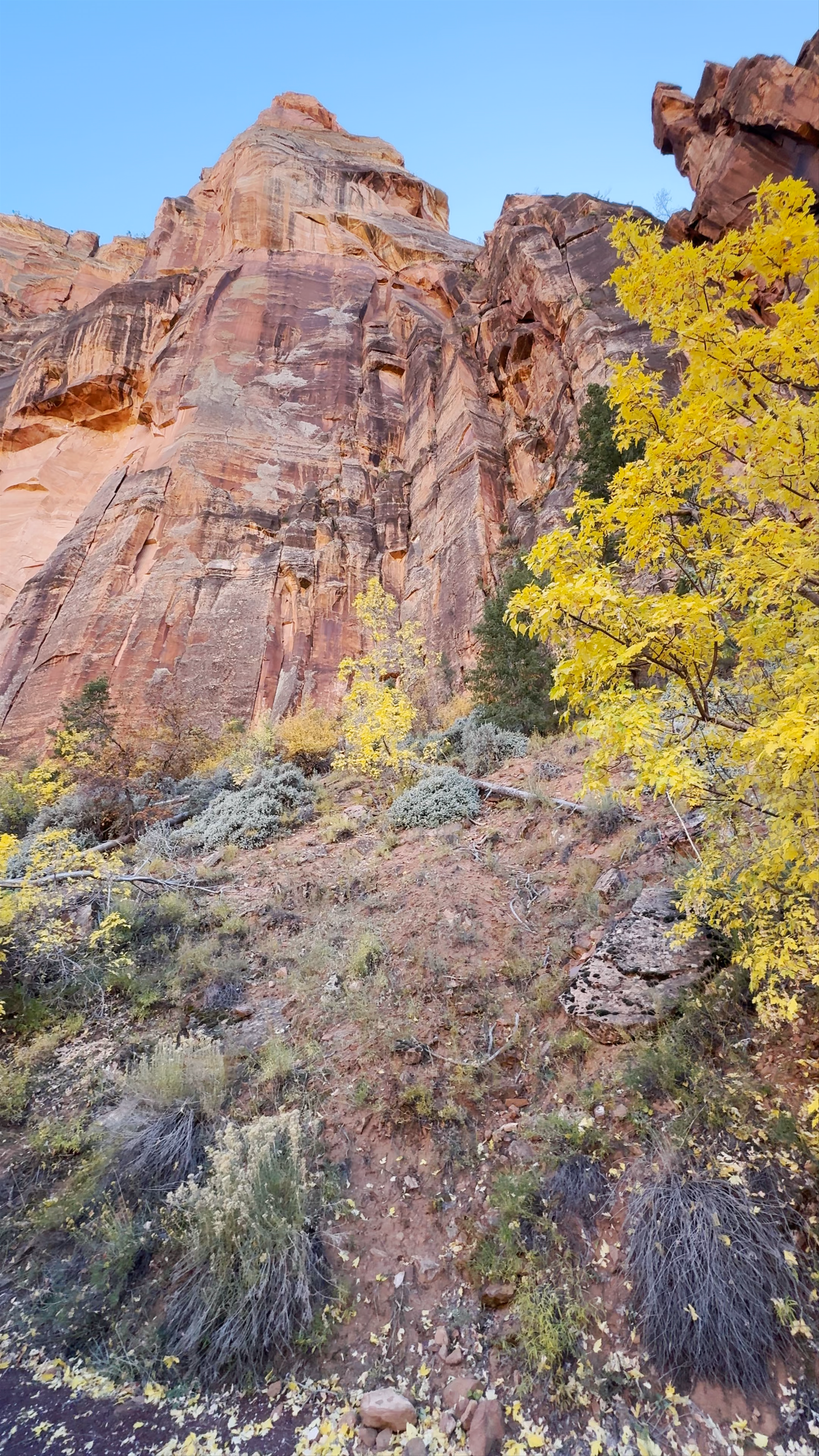 Zion National Park
