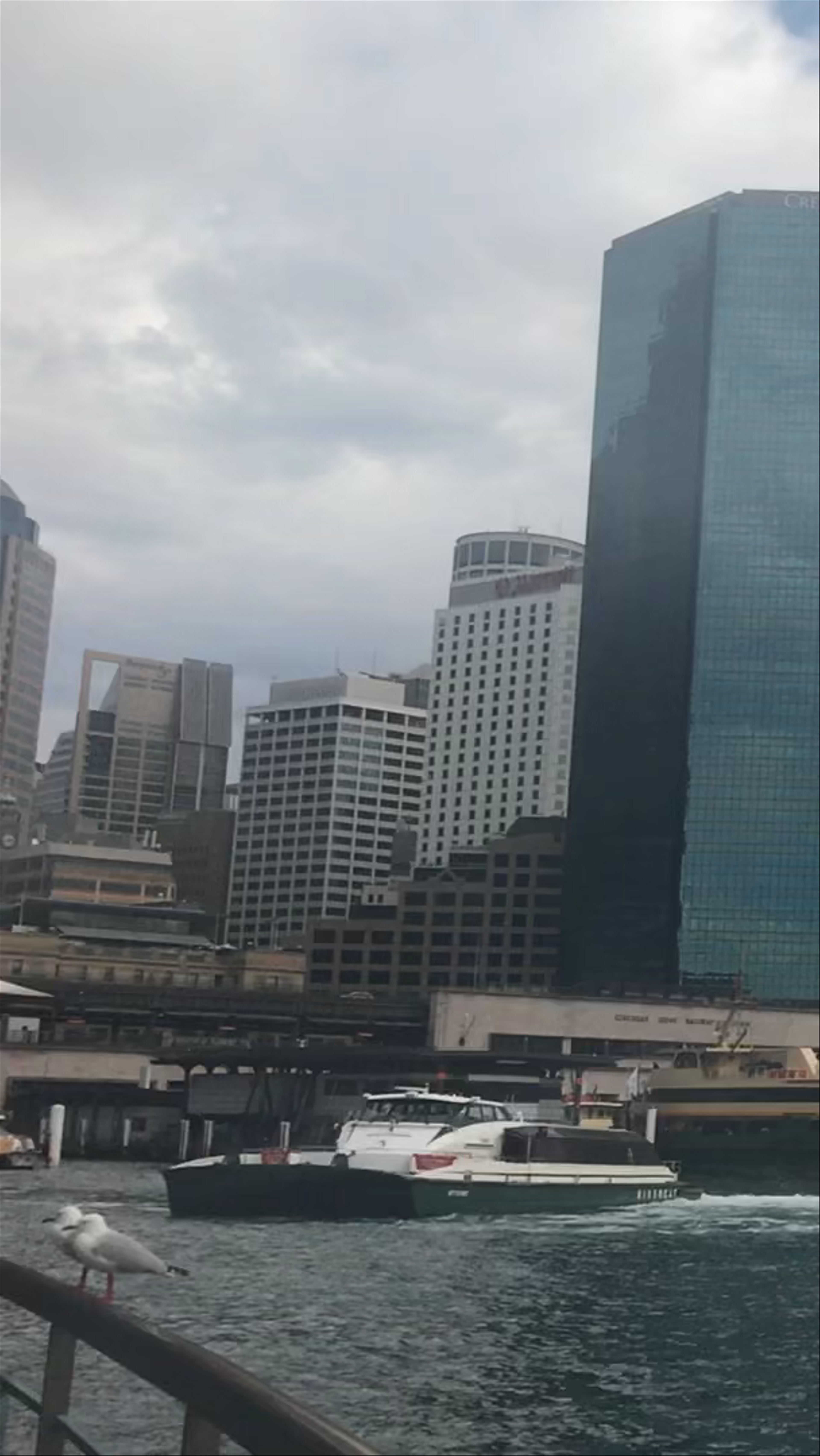 Vibrant Urban Vibes at Circular Quay, Sydney
