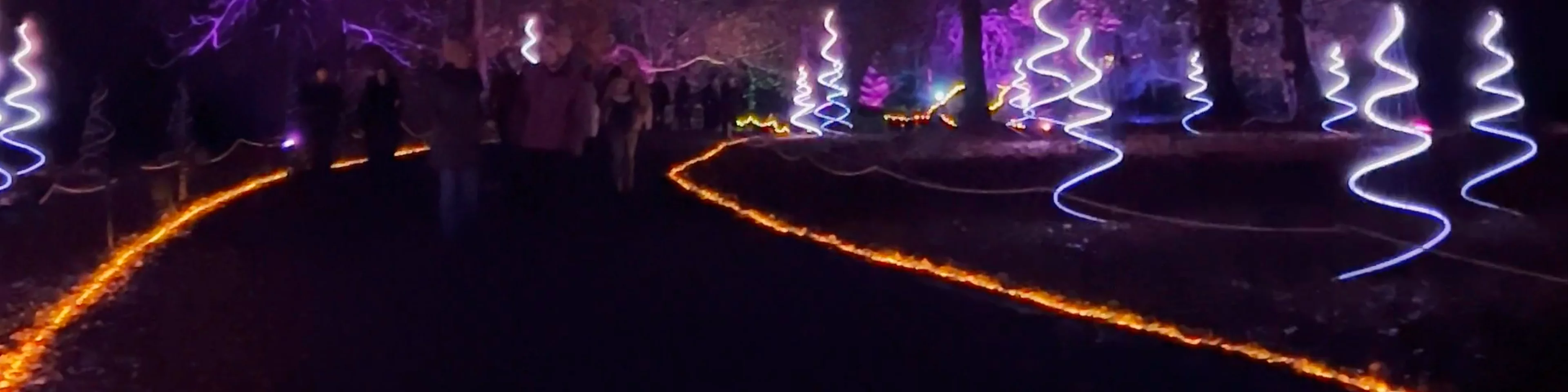 Windsor Great Park Illuminated