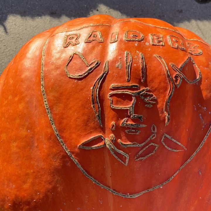 Borchard Farms - Customized pumpkins! - Pumpkin Patches Near Me - Salinas, California