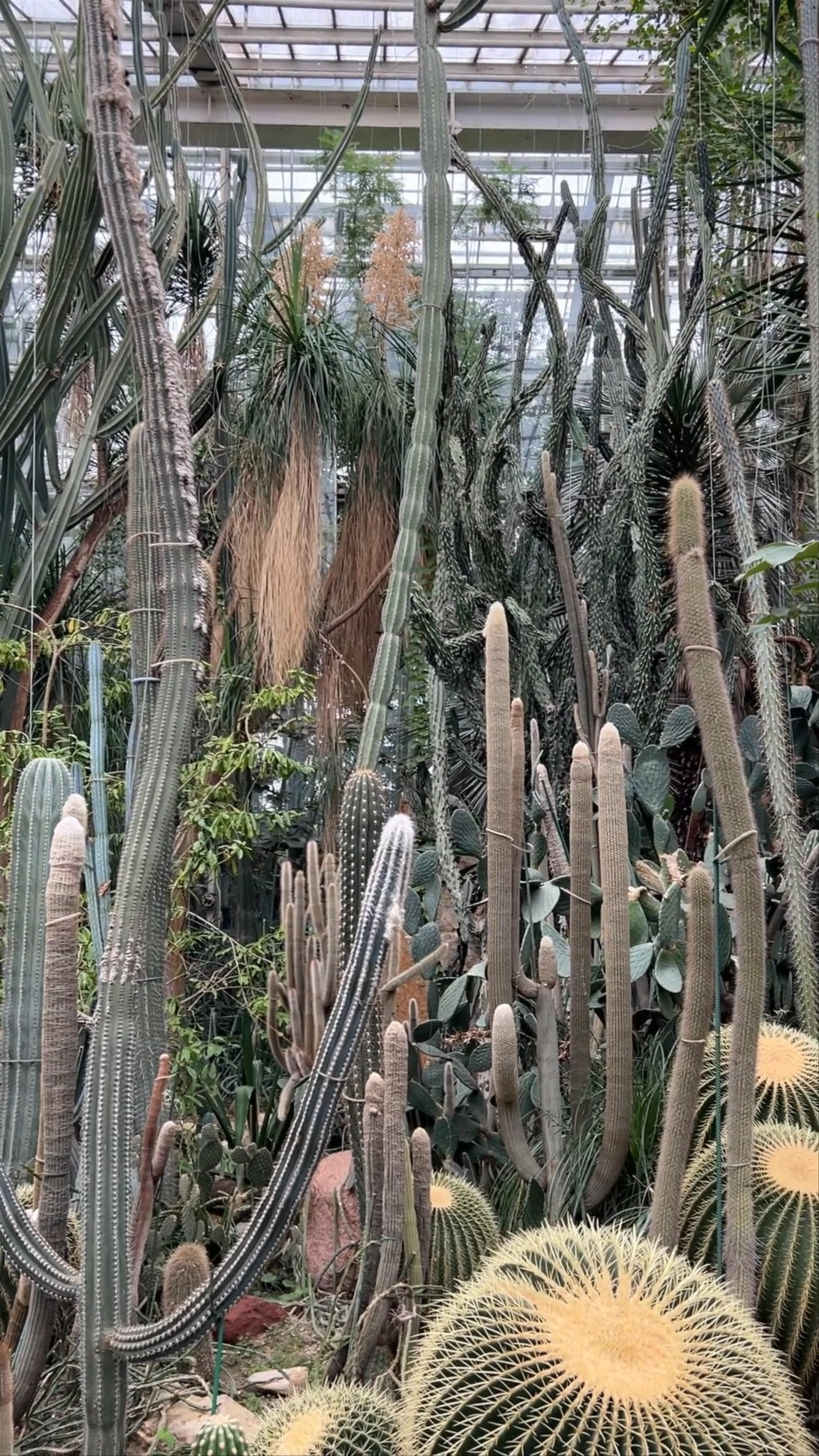 Poznań Palm House