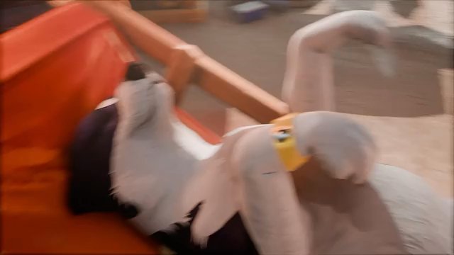 DarkBleeds Videos