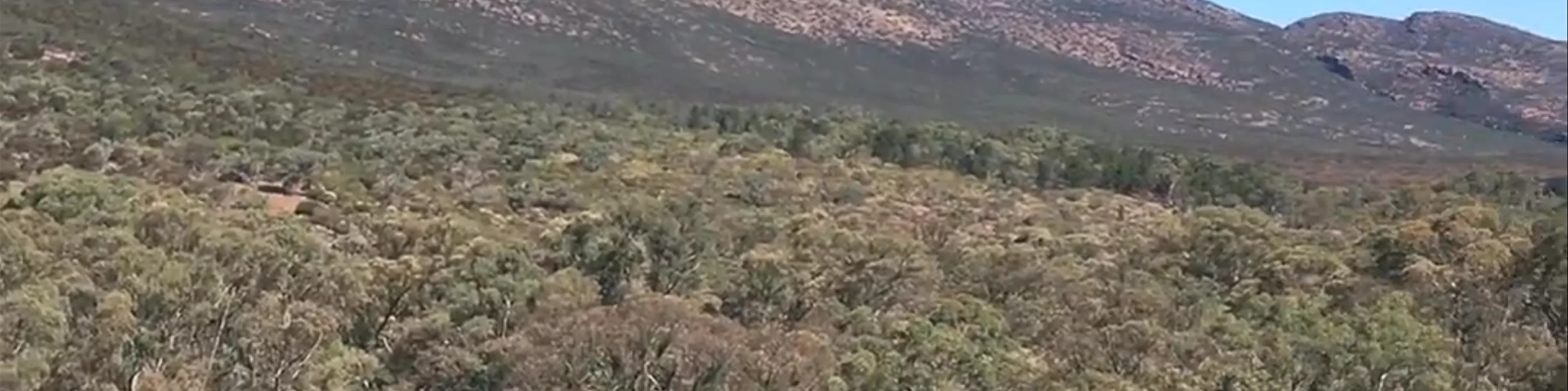 Flinders Ranges National Park