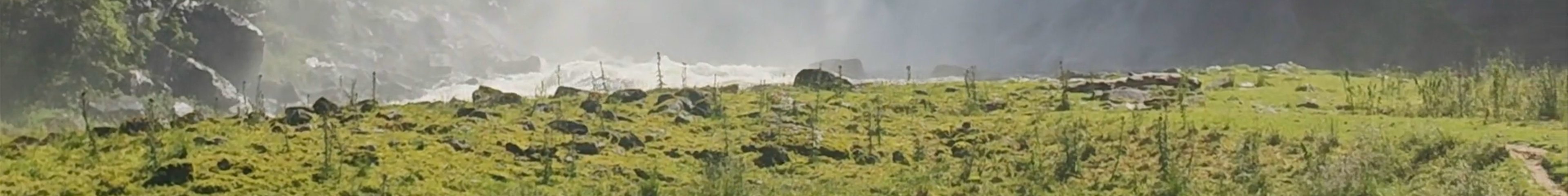 Tours & experiences in Førde