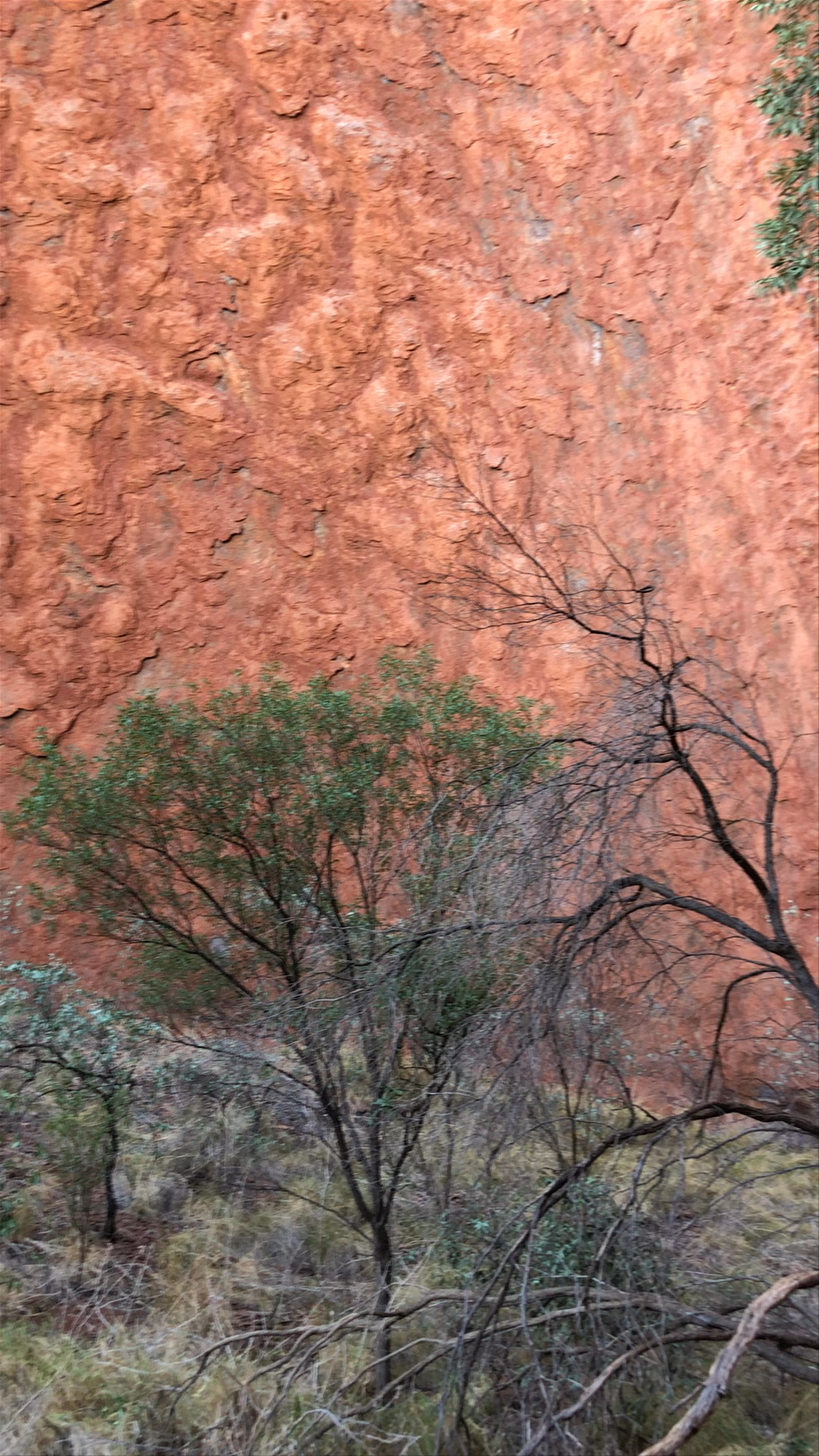 Uluṟu-Kata Tjuṯa National Park