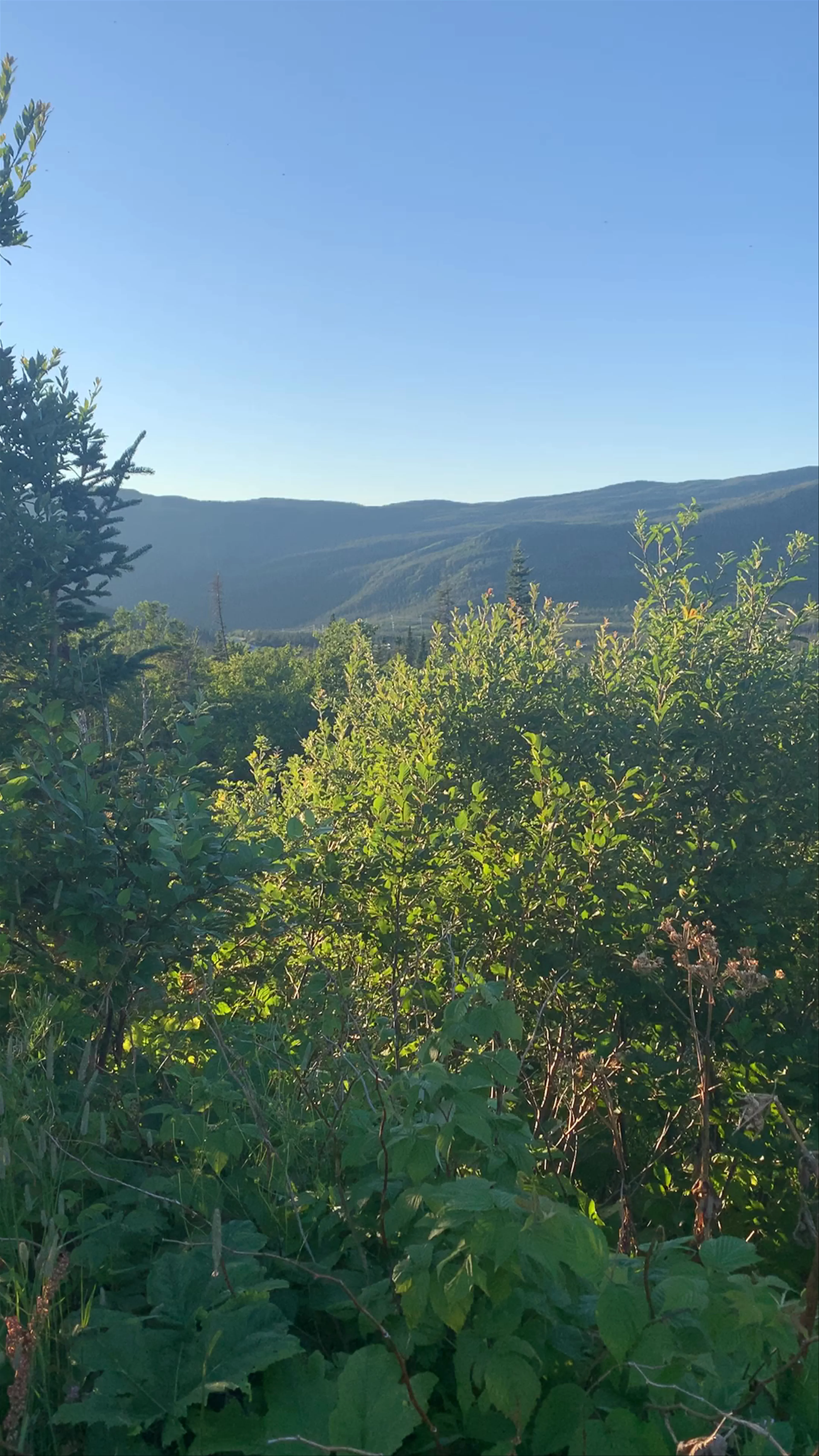 Gros Morne National Park, Newfoundland and Labrador, Canada
