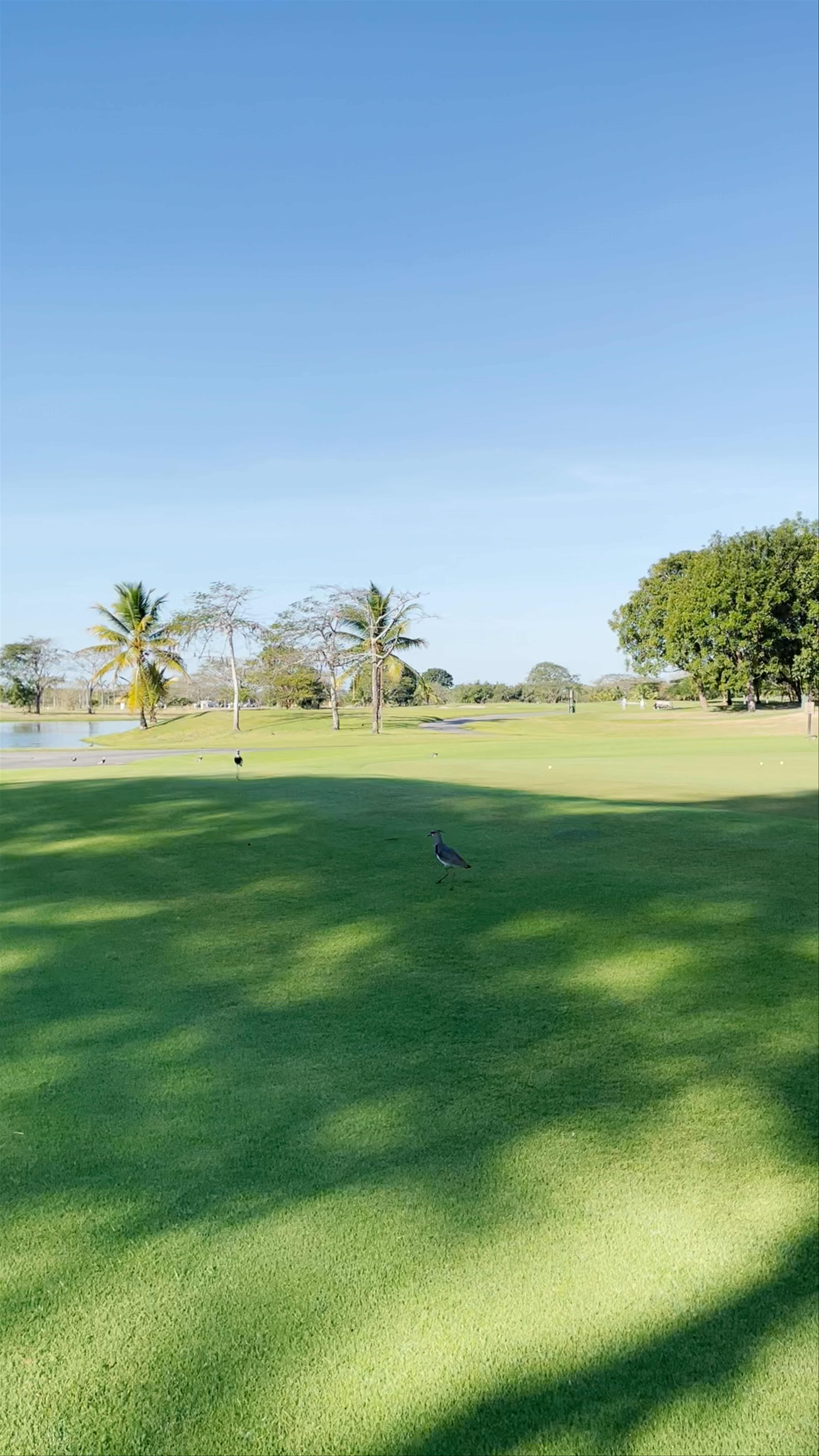 Buenaventura Golf Club: Tropical Tranquility in Panama