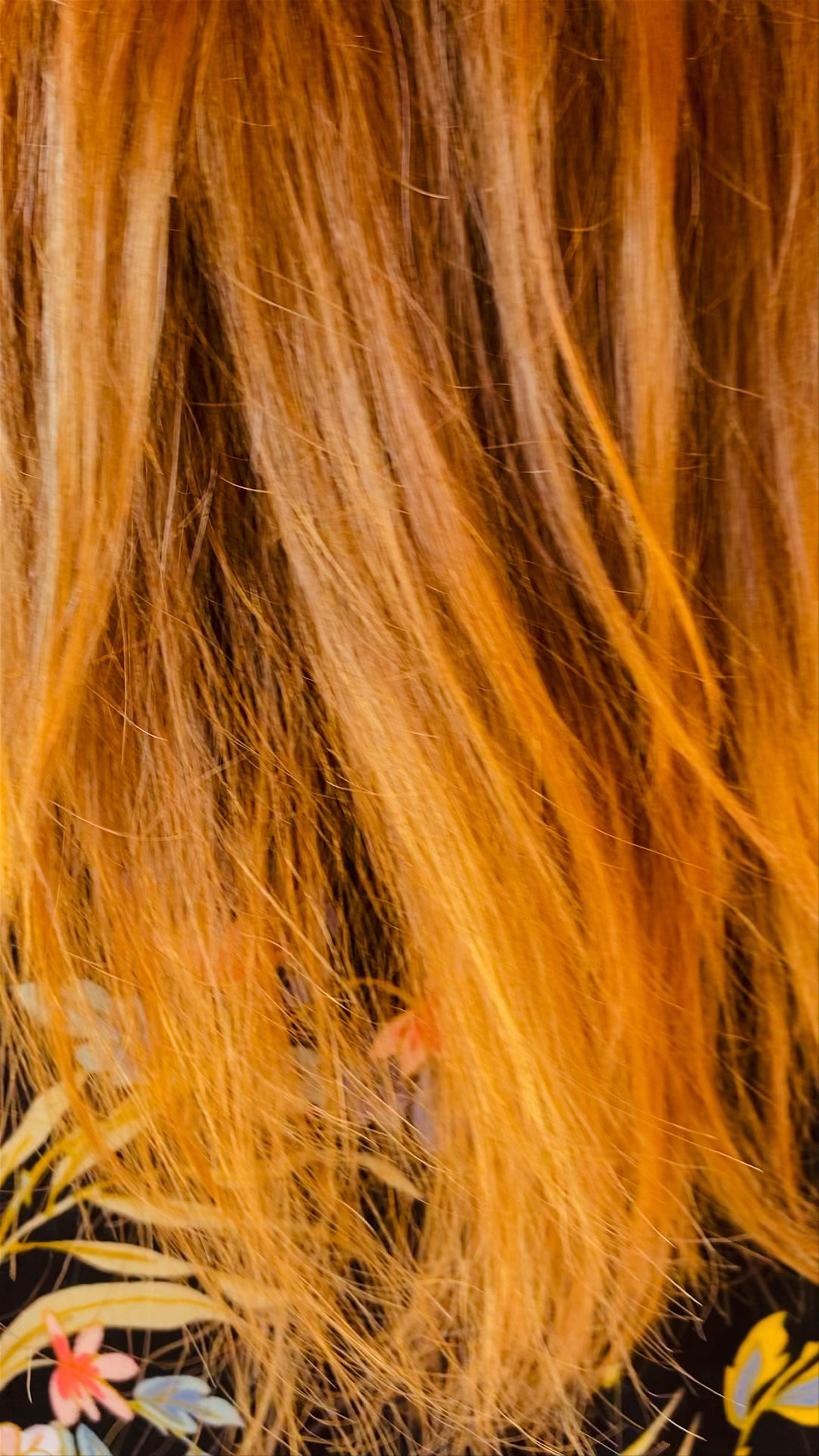 Petra Jordan Attractions