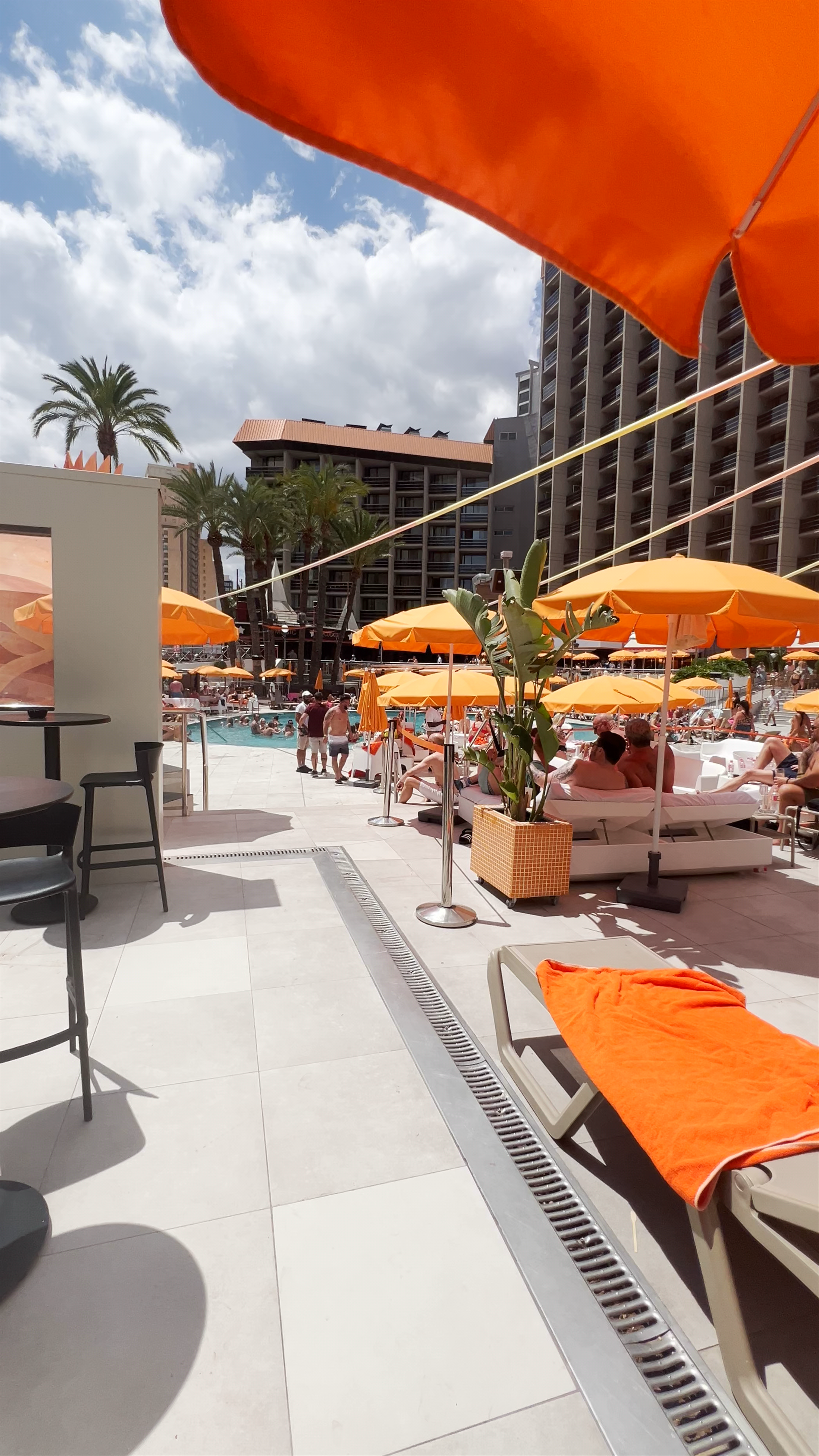 The Secret Fountain Roof Bar Garden in Benidorm: Vibrant Poolside Vibes