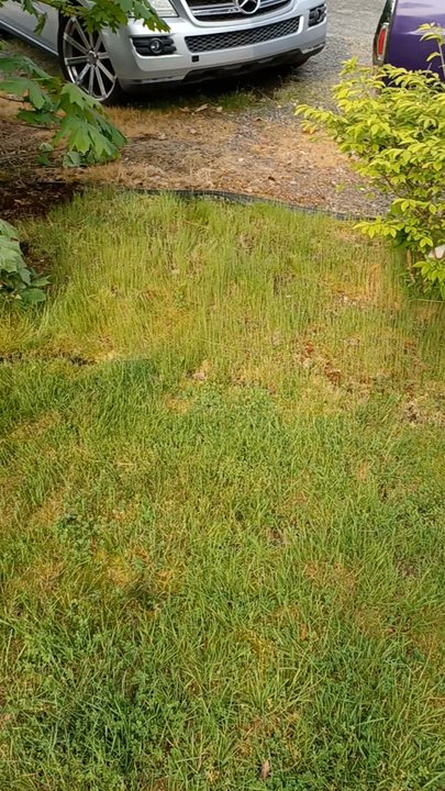 Top Garden Services - Before - Landscaping Near Me