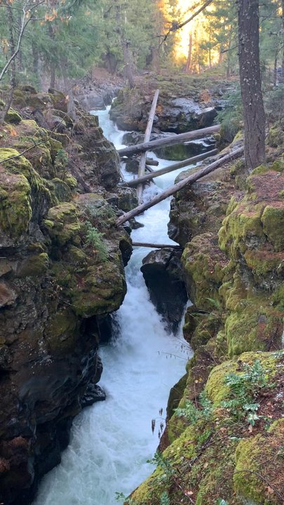 Rogue Gorge Viewpoint - Hiking Near Me - Prospect, Oregon
