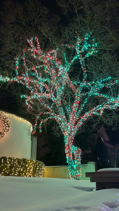 Dyker Heights - Middle Schools & High Schools Near Me - Brooklyn, New York