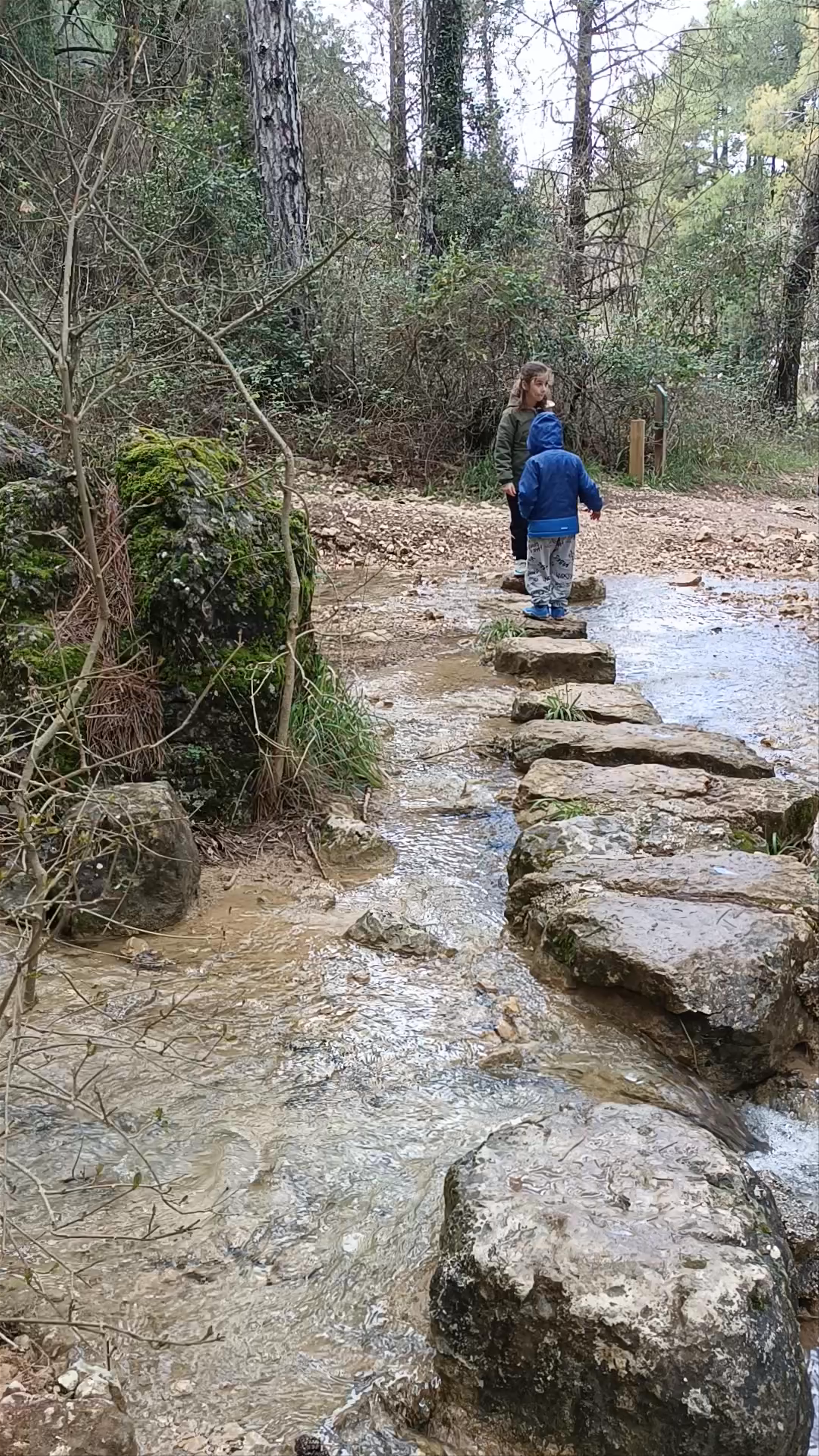 Nacimiento del Río Mundo