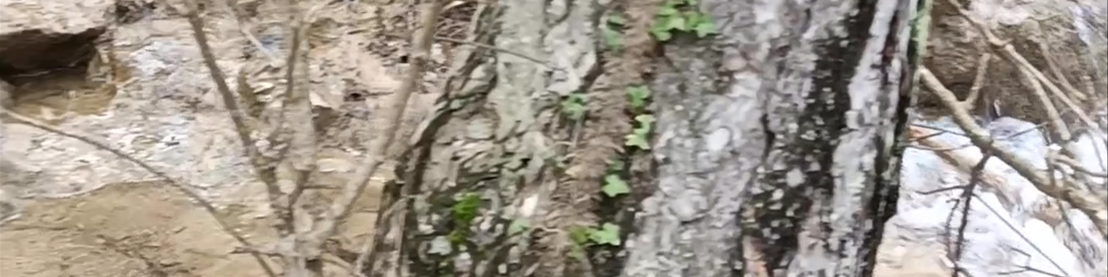 Nacimiento del Río Mundo