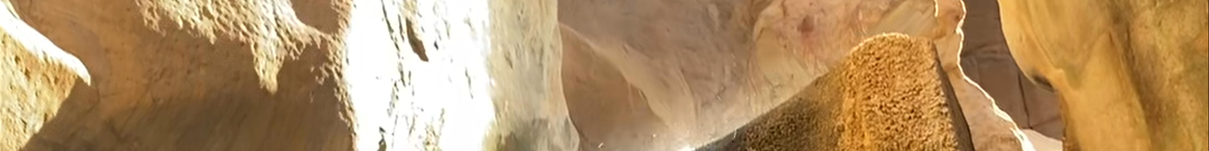 Tours & experiences in Qīr Moāv