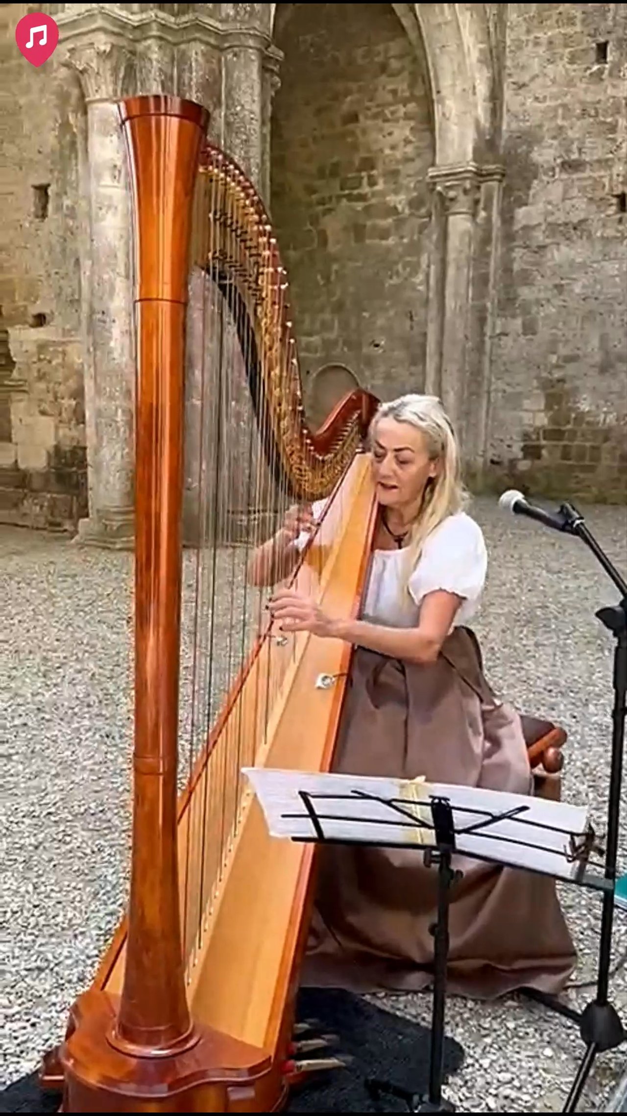 The Siena Harpist & Singer - Bonus Promo 2026 - video 2