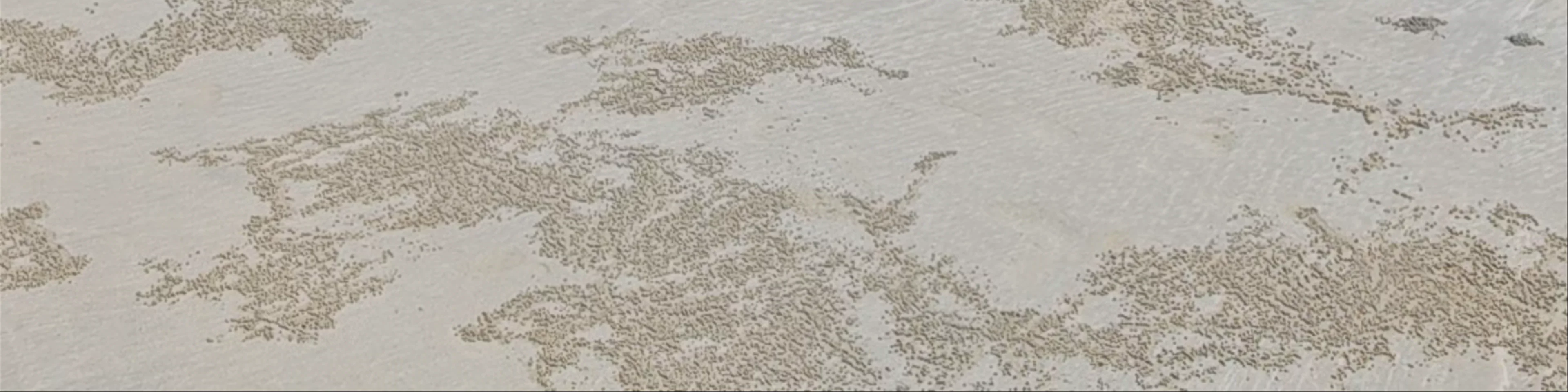Cable Beach